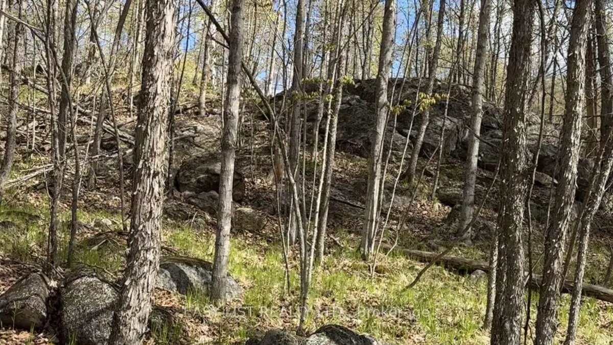 Photo 10 of 1040 Concession 7, Lanark Highlands, Lanark Highlands (Dalhousie) Twp — HOMEH