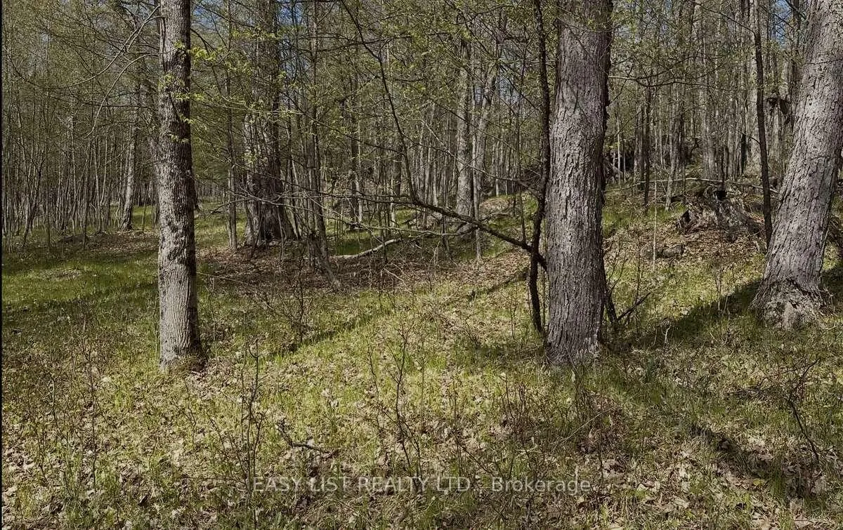 Photo 11 of 1040 Concession 7, Lanark Highlands, Lanark Highlands (Dalhousie) Twp — HOMEH