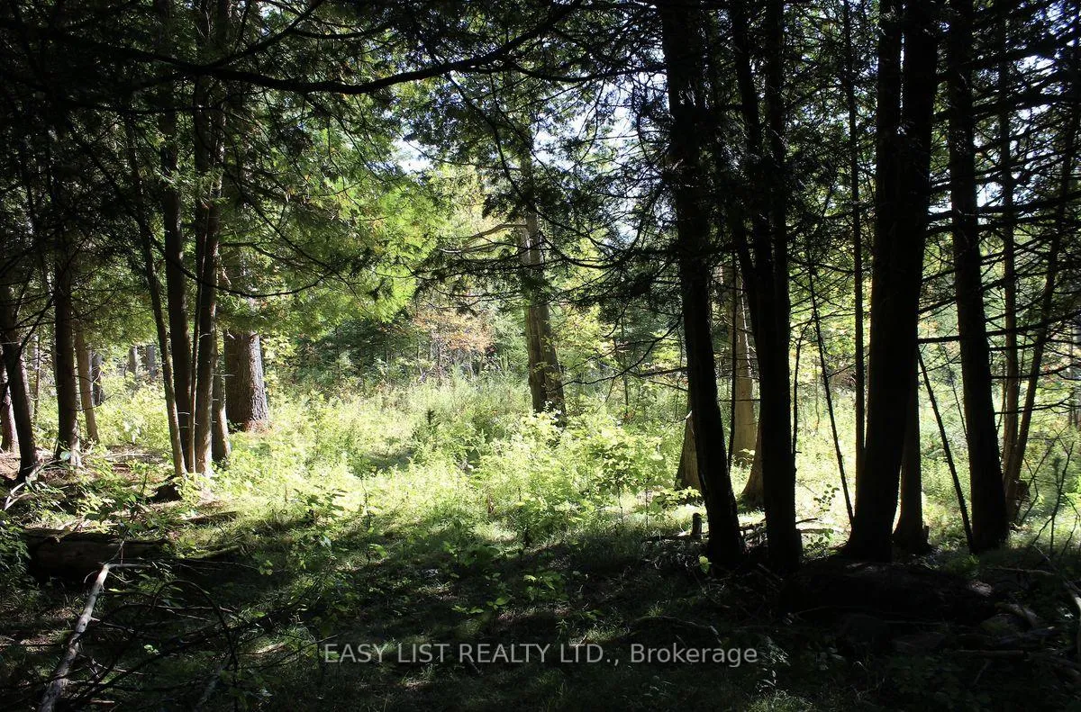 Photo 15 of 1040 Concession 7, Lanark Highlands, Lanark Highlands (Dalhousie) Twp — HOMEH