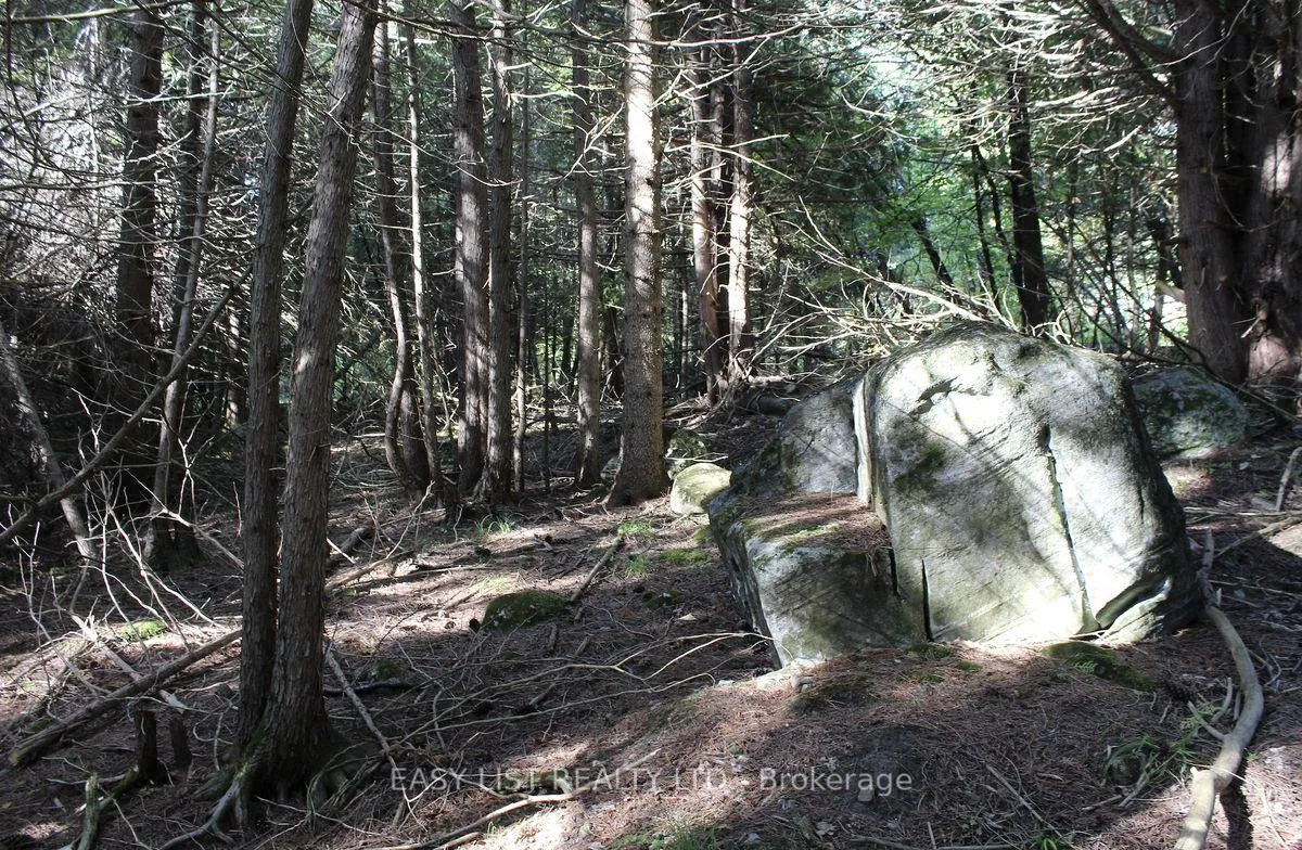 Photo 16 of 1040 Concession 7, Lanark Highlands, Lanark Highlands (Dalhousie) Twp — HOMEH