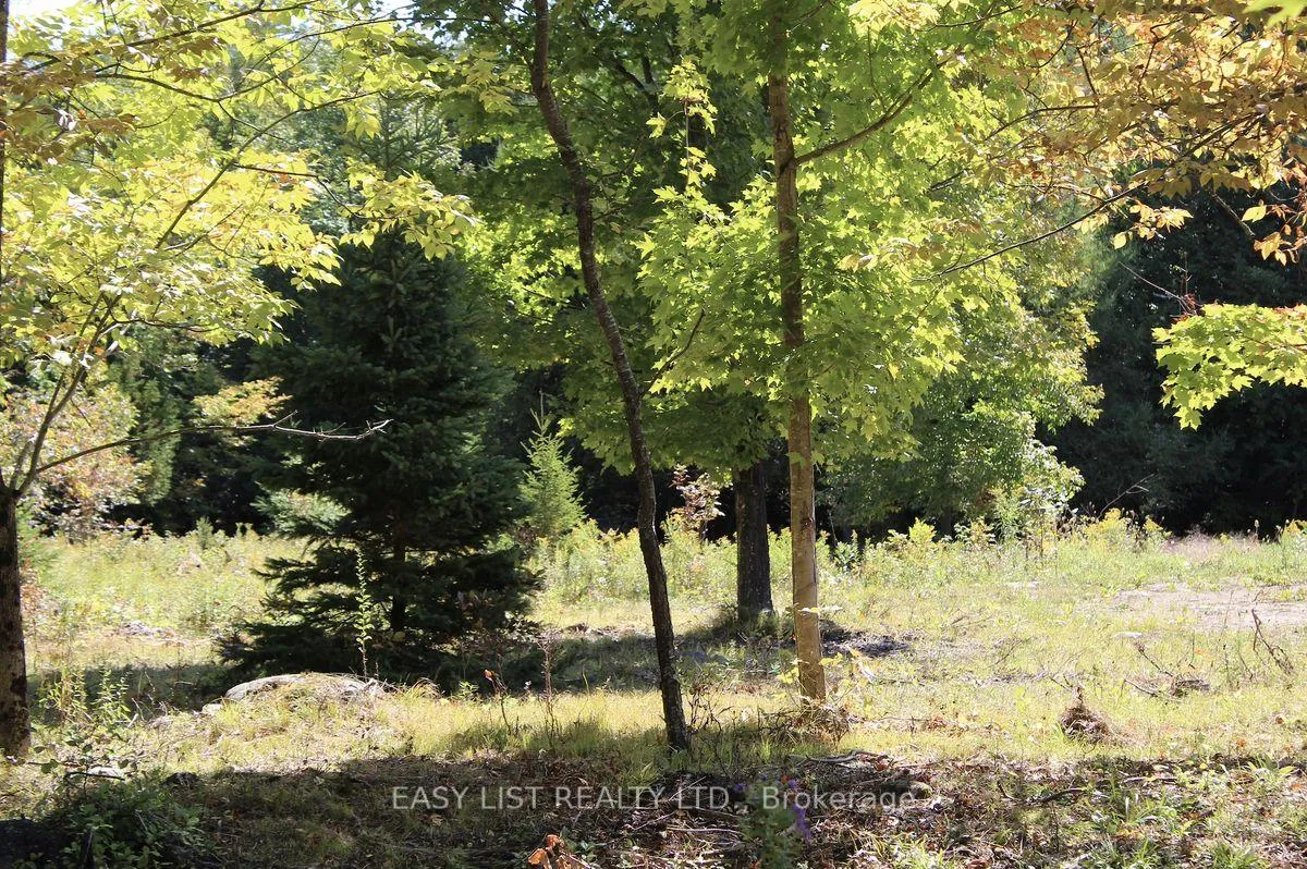 Photo 17 of 1040 Concession 7, Lanark Highlands, Lanark Highlands (Dalhousie) Twp — HOMEH