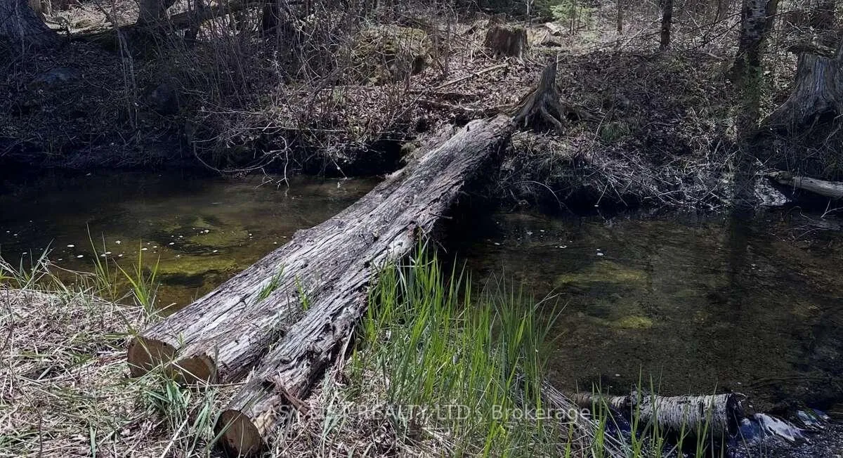 Photo 22 of 1040 Concession 7, Lanark Highlands, Lanark Highlands (Dalhousie) Twp — HOMEH