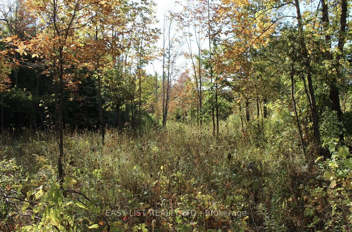 Photo 24 of 1040 Concession 7, Lanark Highlands, Lanark Highlands (Dalhousie) Twp — HOMEH