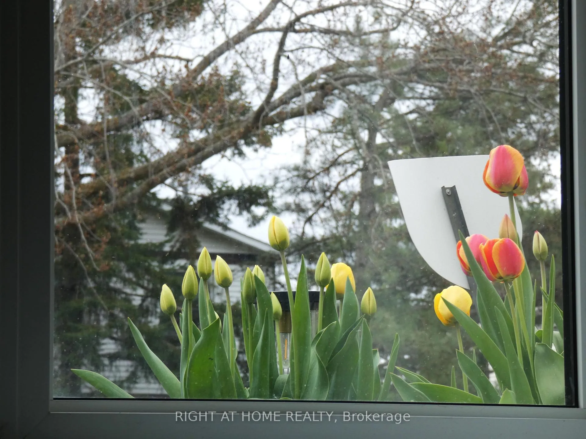 Photo 20 of 169 Castlefrank Road, Ottawa, Kanata - Glencairn/Hazeldean — HOMEH