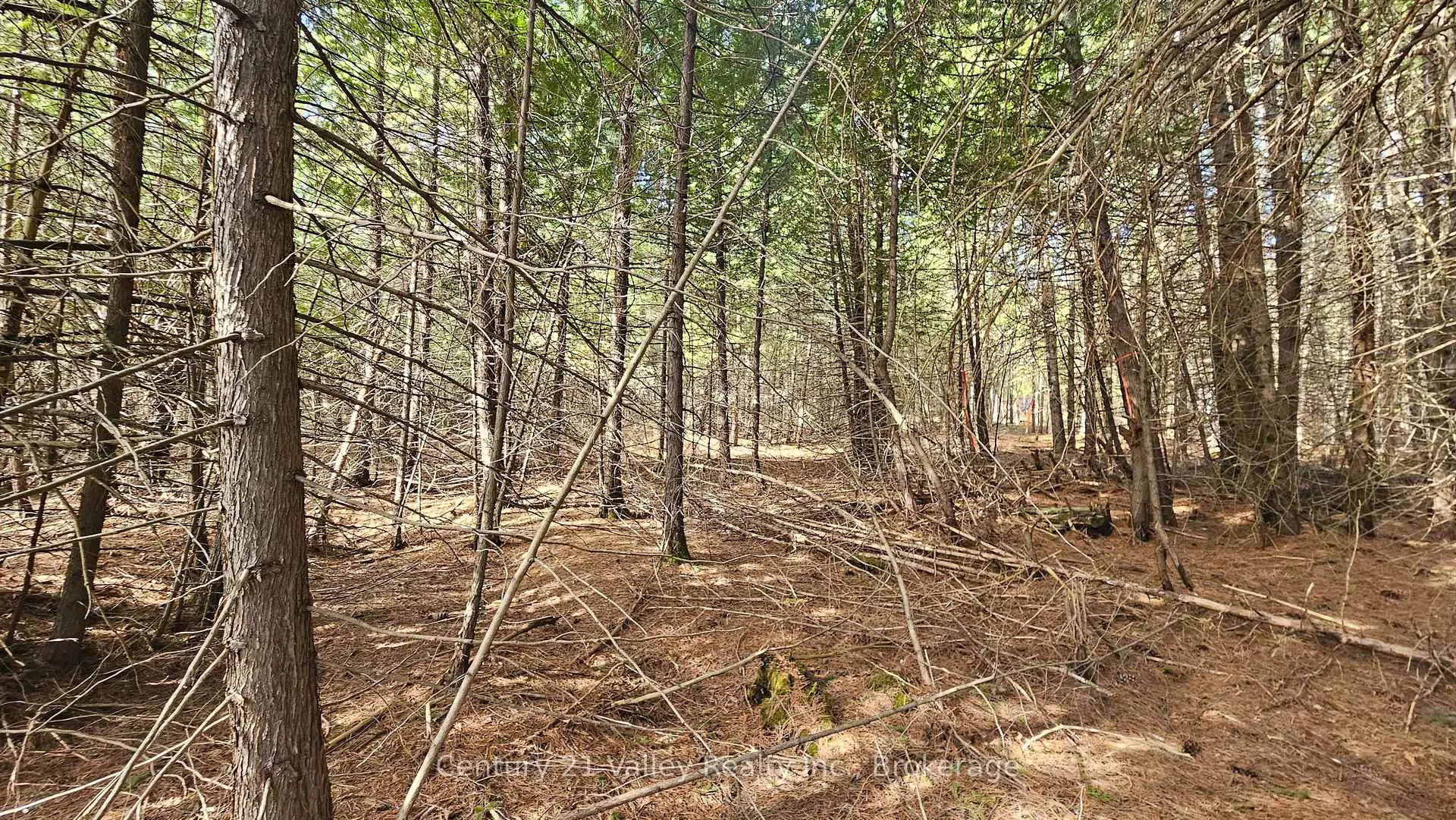Photo 5 of Highway 41, Bonnechere Valley, Eganville/Bonnechere Twp — HOMEH