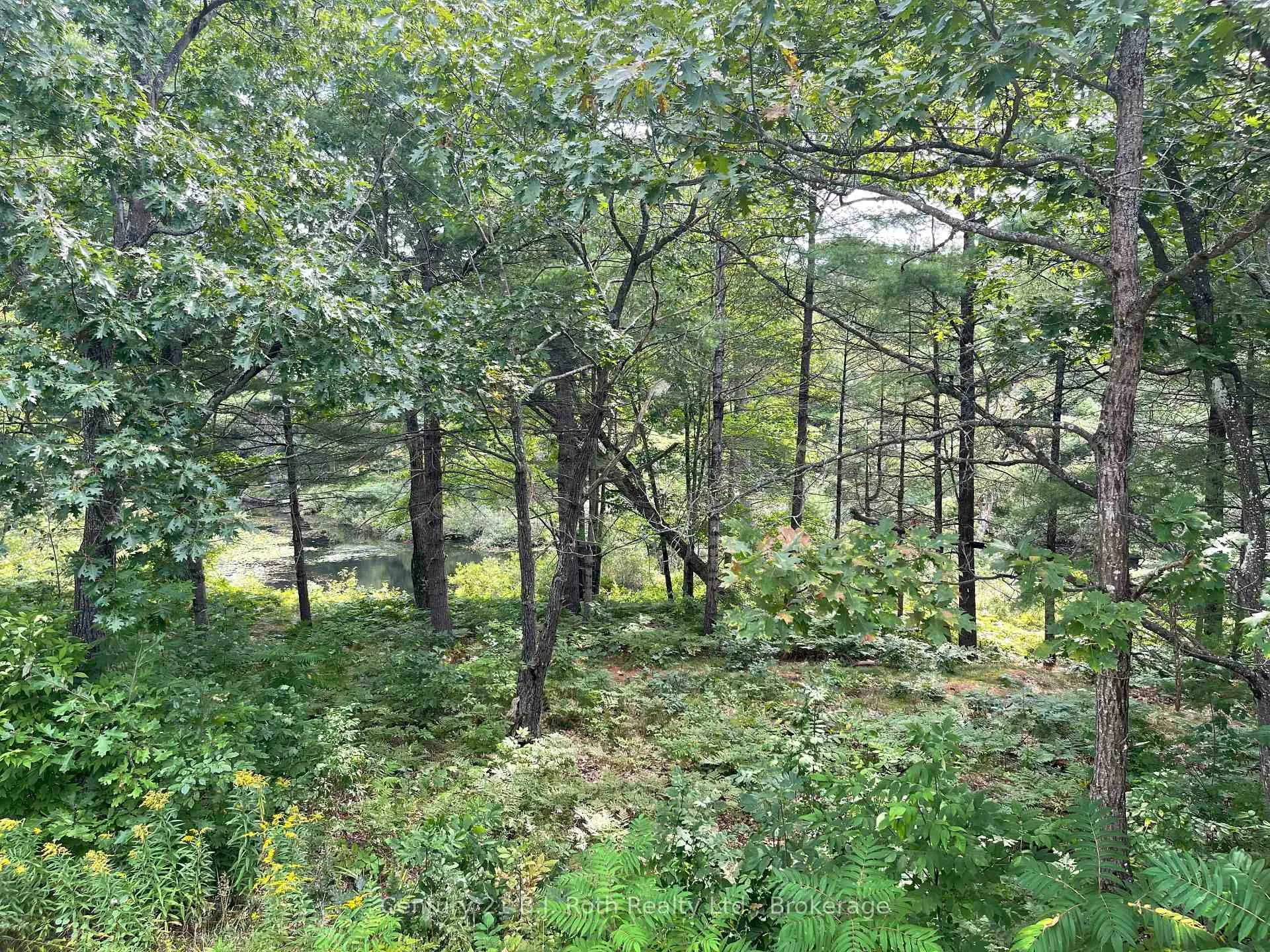 Photo 31 of Unit 3 Morrison Creek, 1336 South Morrison Lake Road, Gravenhurst, Wood (Gravenhurst) — HOMEH