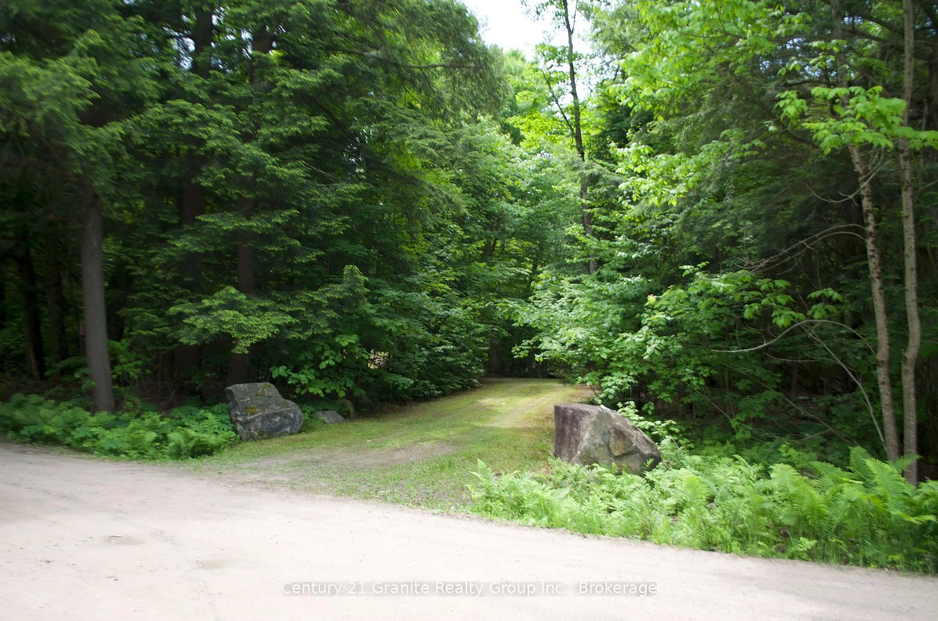 Front of Lot 10 Loon Lake Road S