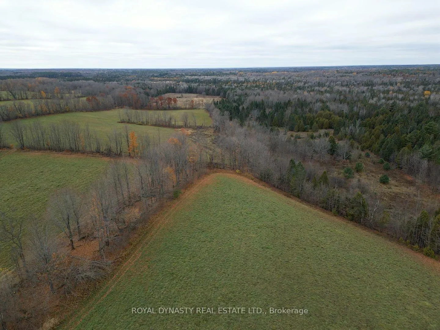 Photo 4 of 807 County Rd 41, Kawartha Lakes, Laxton/Digby/Longford — HOMEH