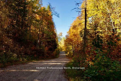 Photo 27 of Mudcat Road, Hastings Highlands, Wicklow Ward — HOMEH