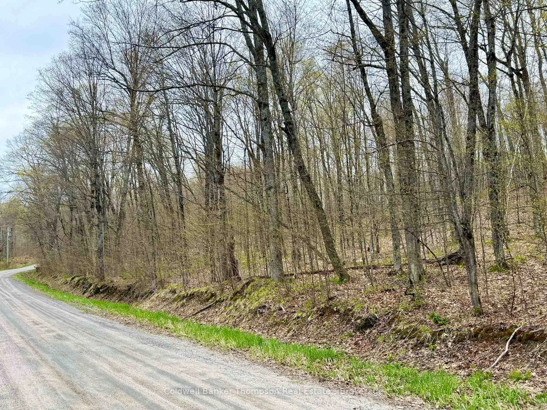 Photo of 842 Seagull Lake Road S