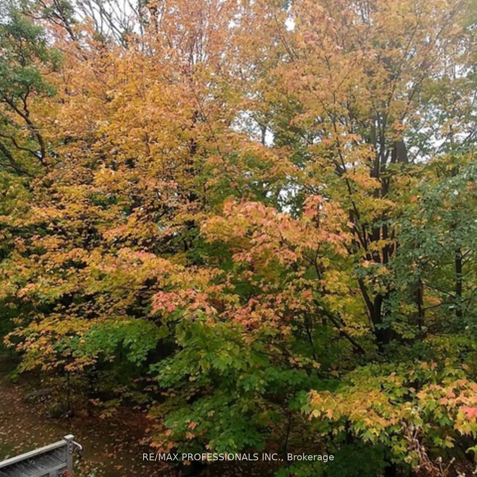 Photo 43 of Unit 65, 3480 Upper Middle Road, Burlington, Palmer — HOMEH