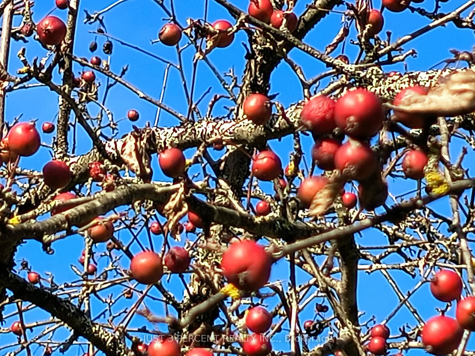 Photo 47 of 1492 County Rd 620, North Kawartha — HOMEH