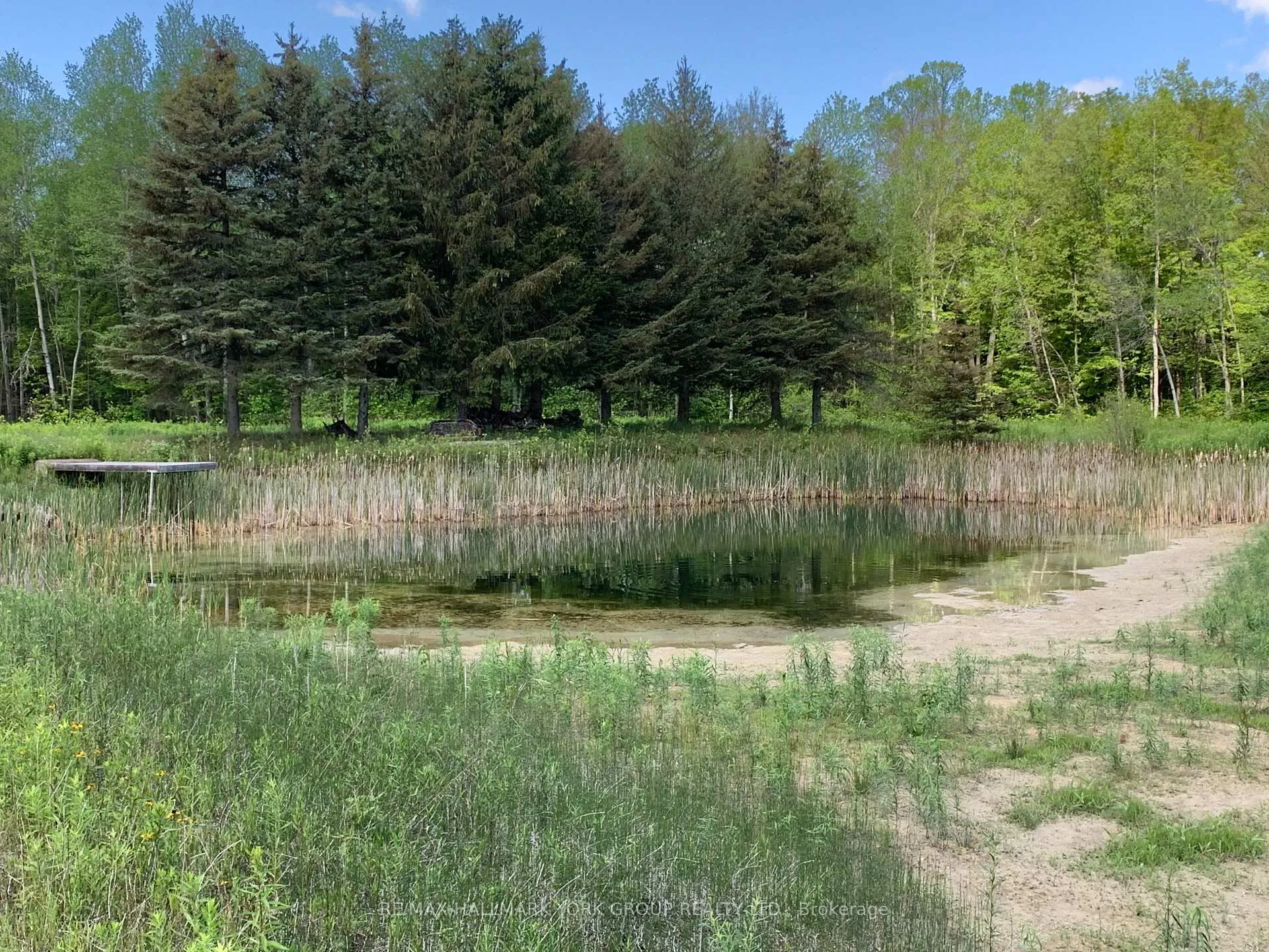 Photo 6 of 4795 19th Side Road, King, Pottageville — HOMEH