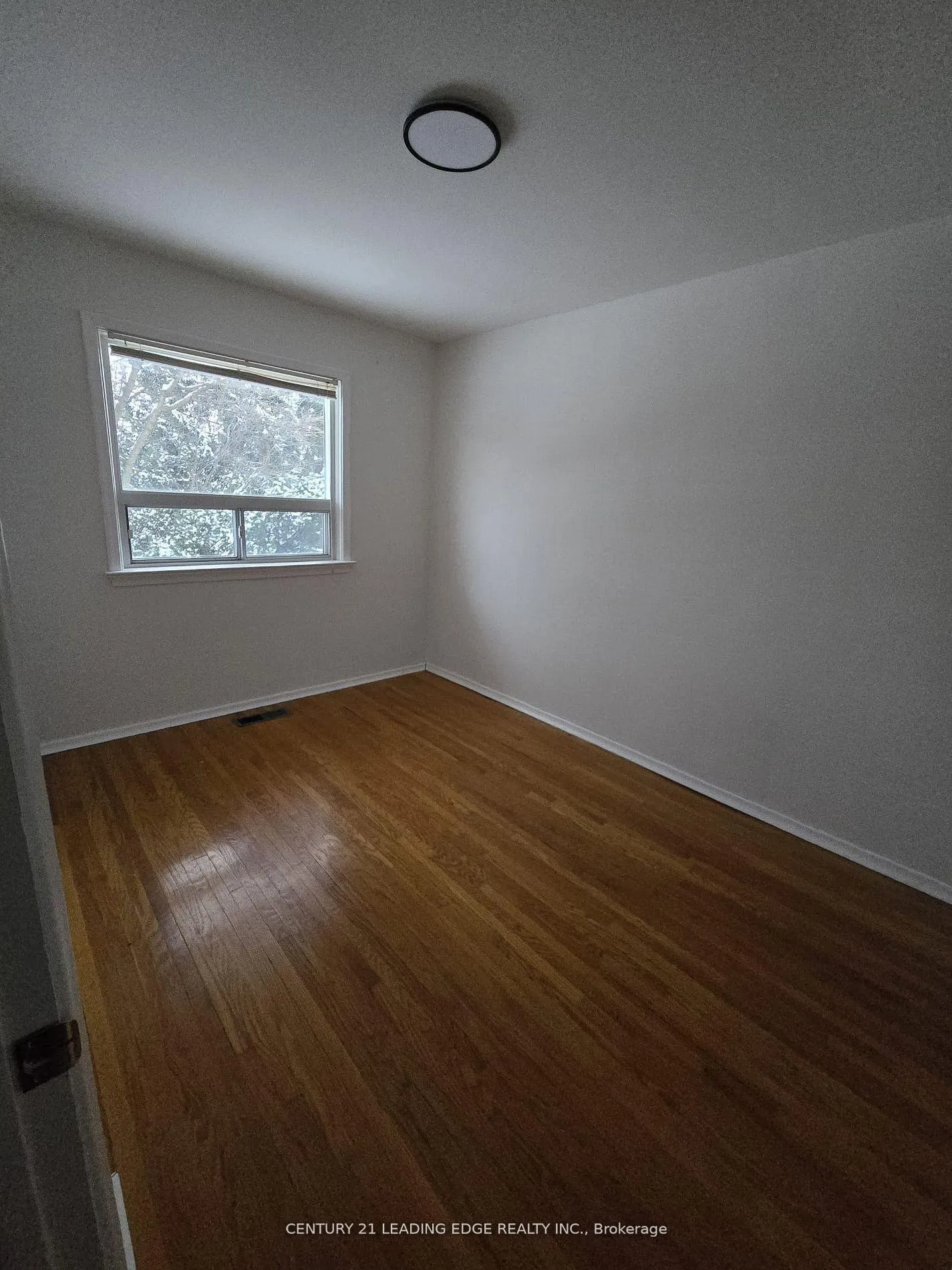 Photo 3 of Unit MAIN, 65 Moore Street, Brampton, Brampton West — HOMEH