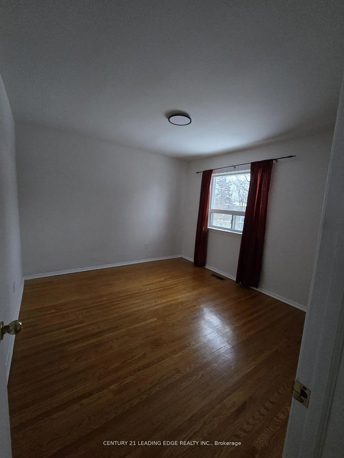 Photo 11 of Unit MAIN, 65 Moore Street, Brampton, Brampton West — HOMEH
