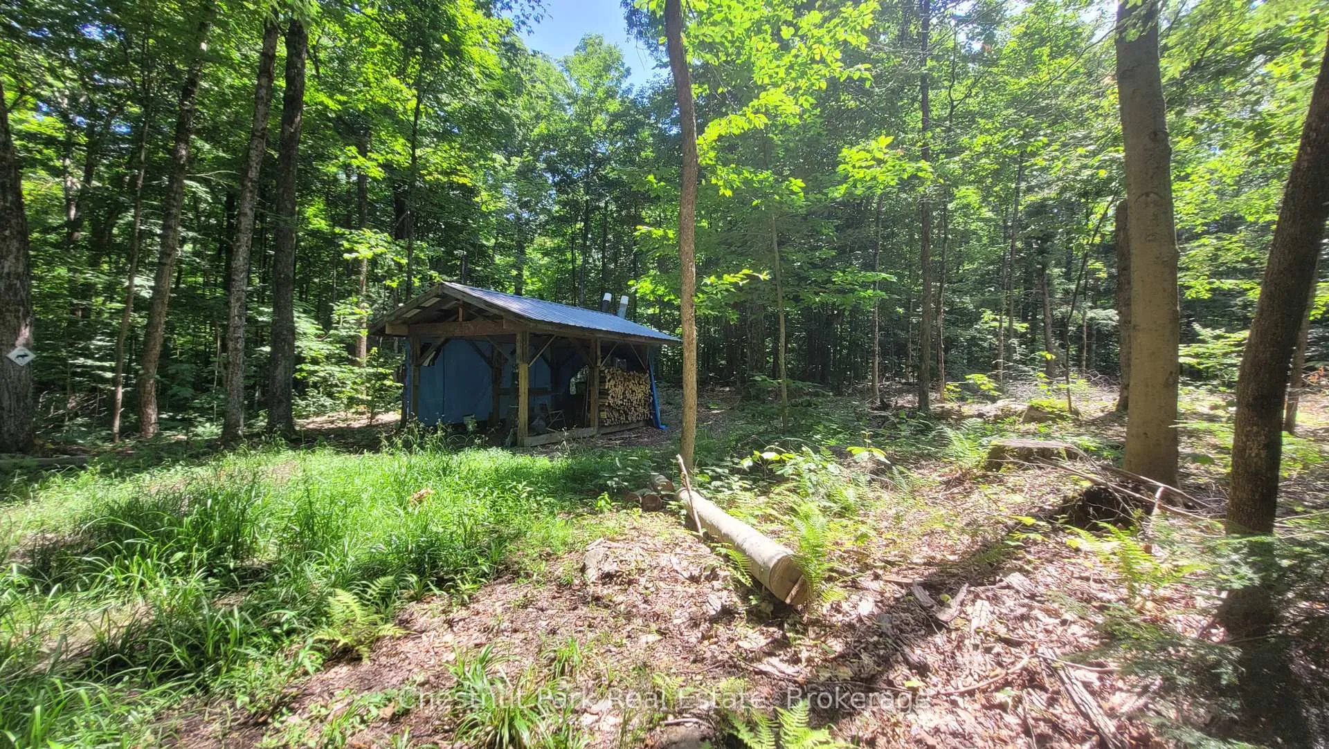 Photo 6 of 1060 Baker Side Road, Bracebridge, Macaulay — HOMEH