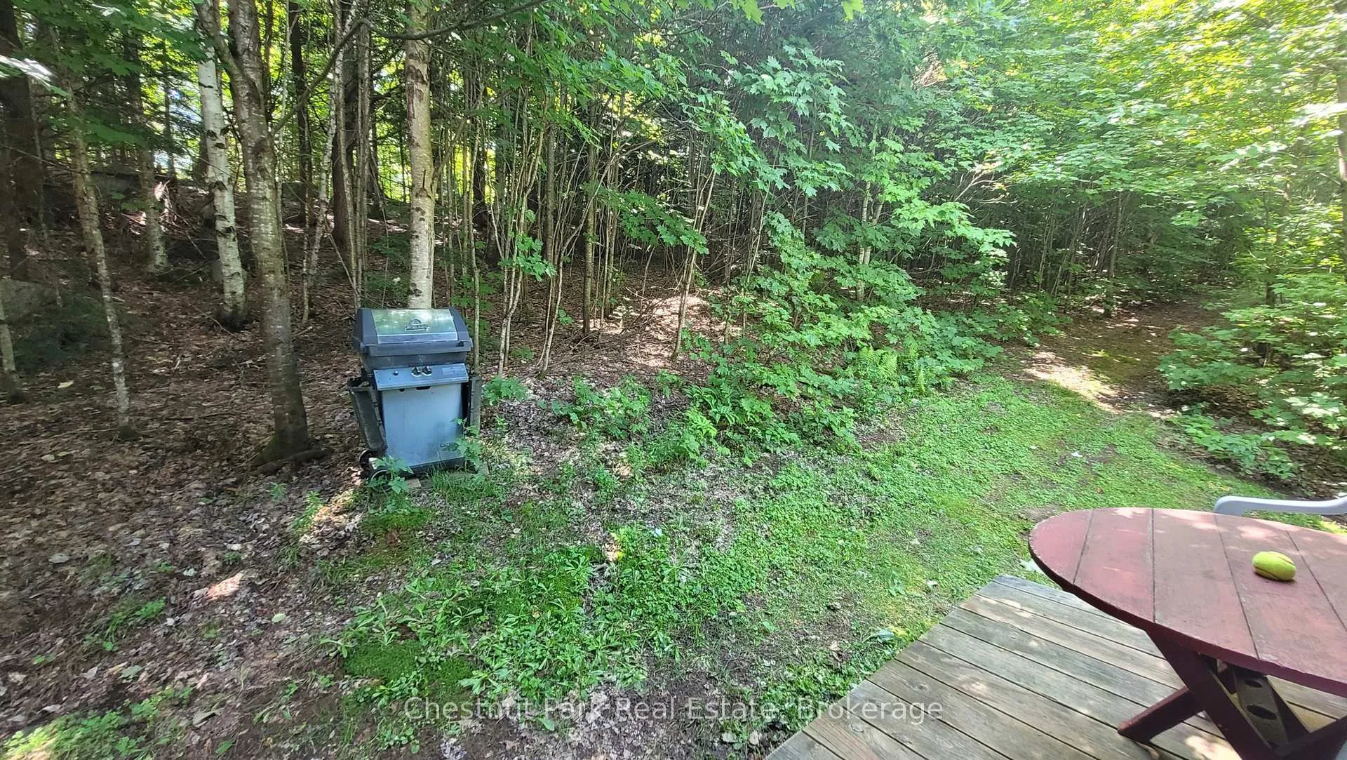 Photo 7 of 1060 Baker Side Road, Bracebridge, Macaulay — HOMEH