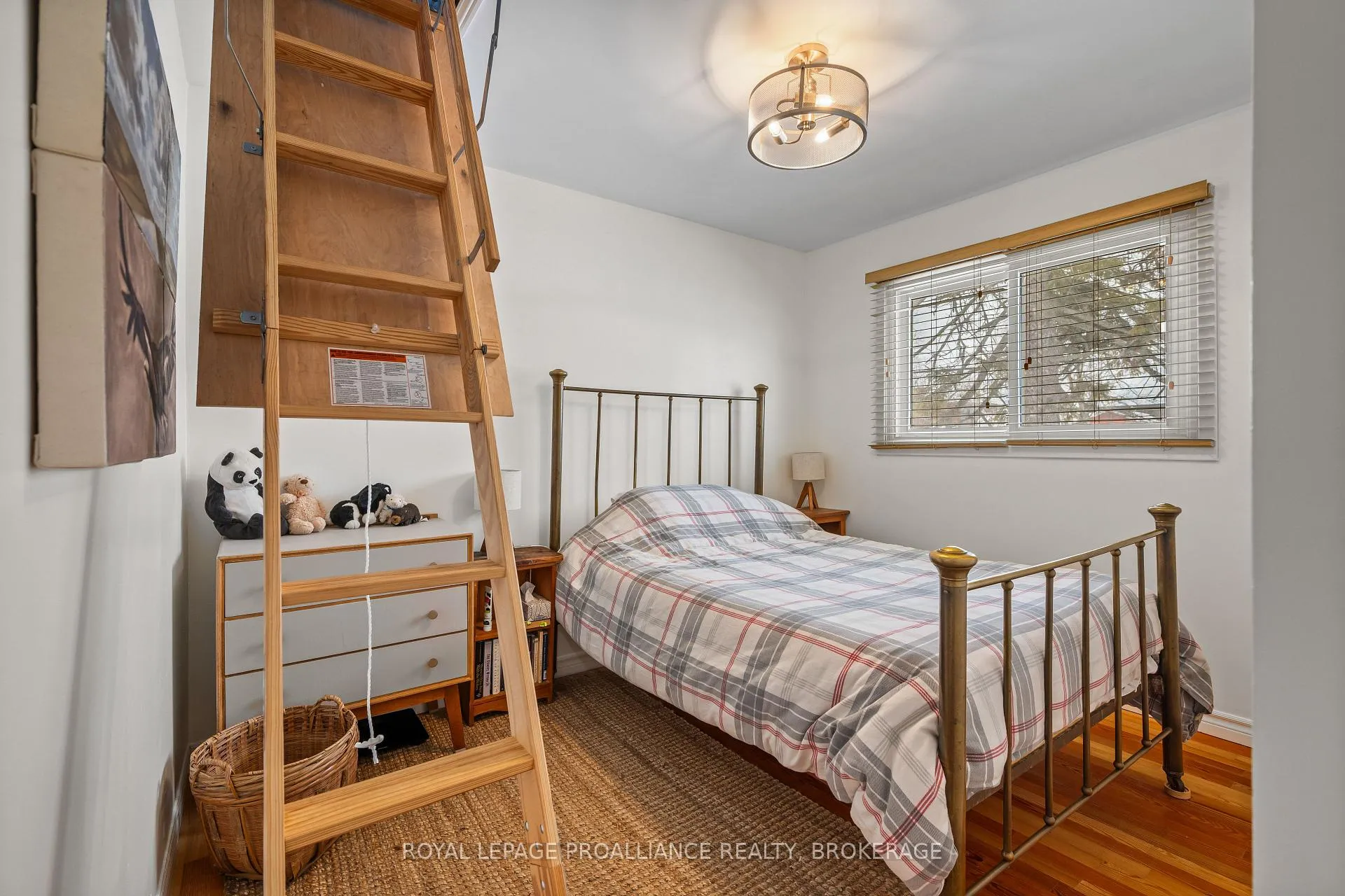 Photo 16 of 62 Montgomery Boulevard, Kingston, City Southwest — HOMEH