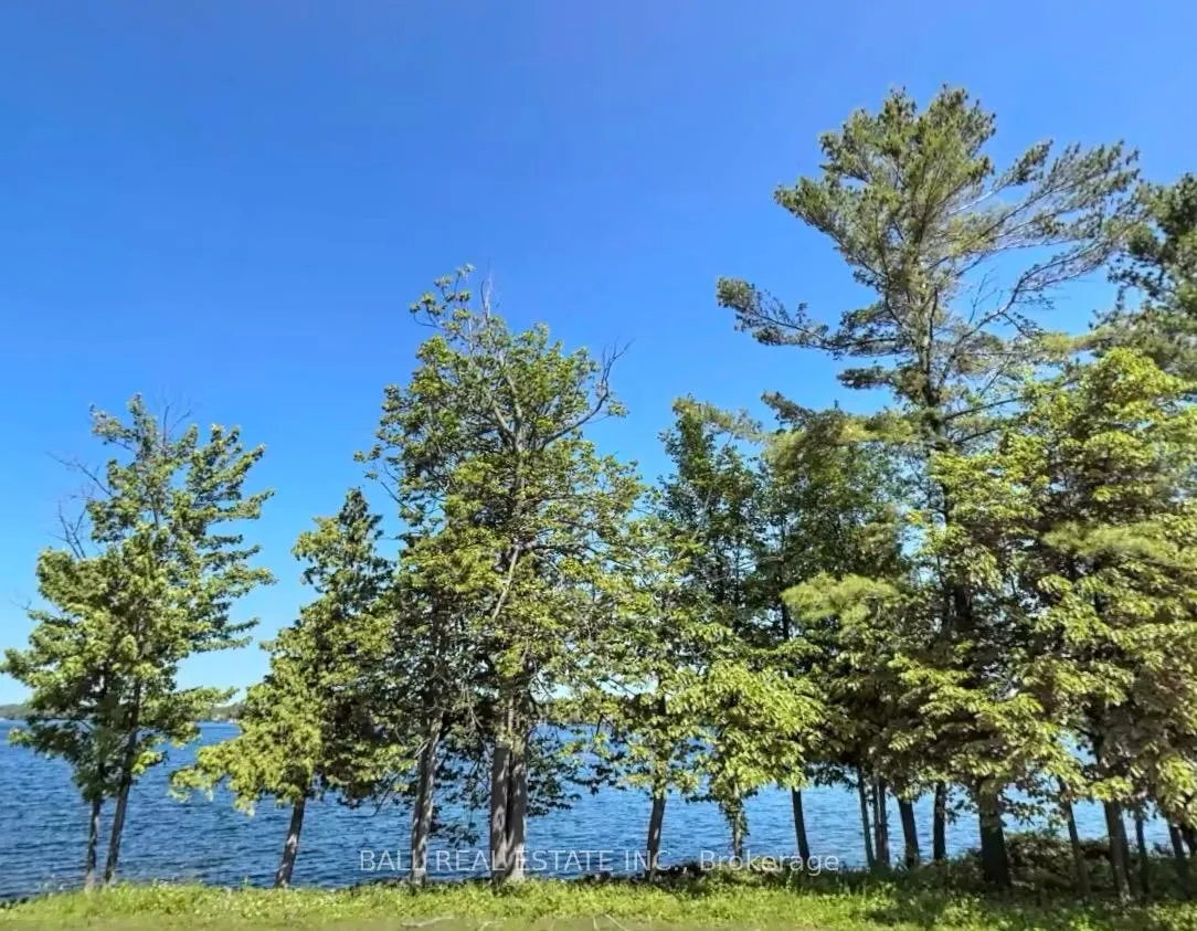 Photo 2 of County Road, Kawartha Lakes, Verulam — HOMEH
