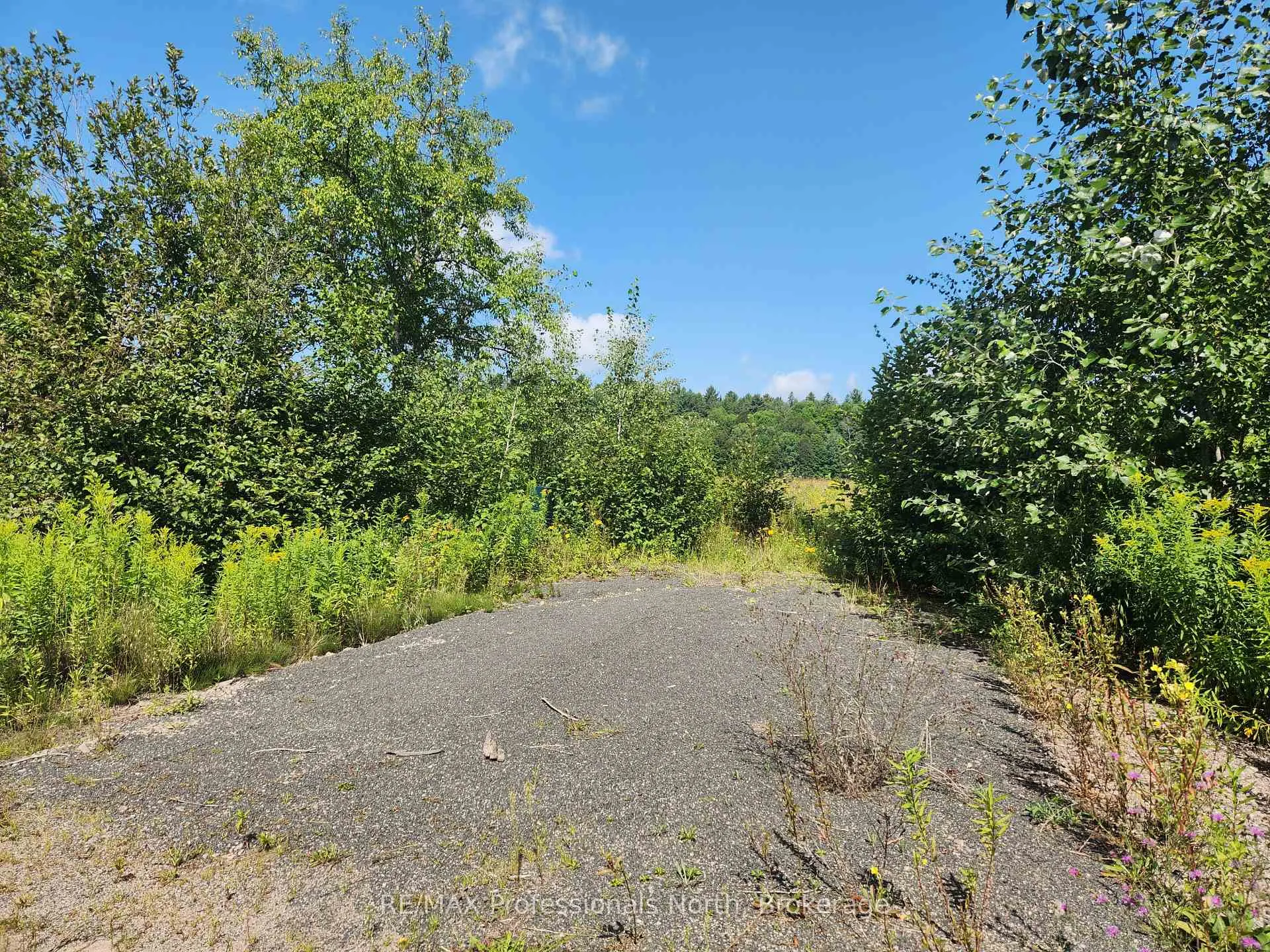 Photo 3 of Deep Bay Road, Minden Hills, Lutterworth — HOMEH