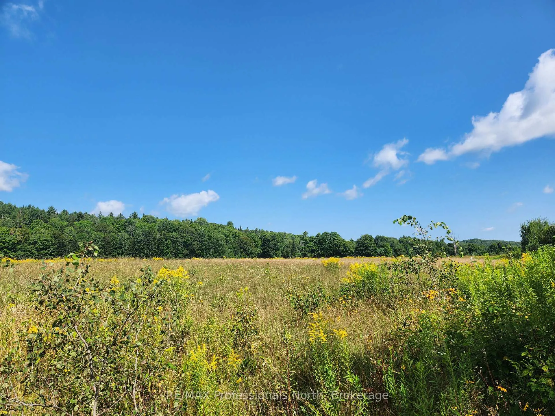 Photo 4 of Deep Bay Road, Minden Hills, Lutterworth — HOMEH