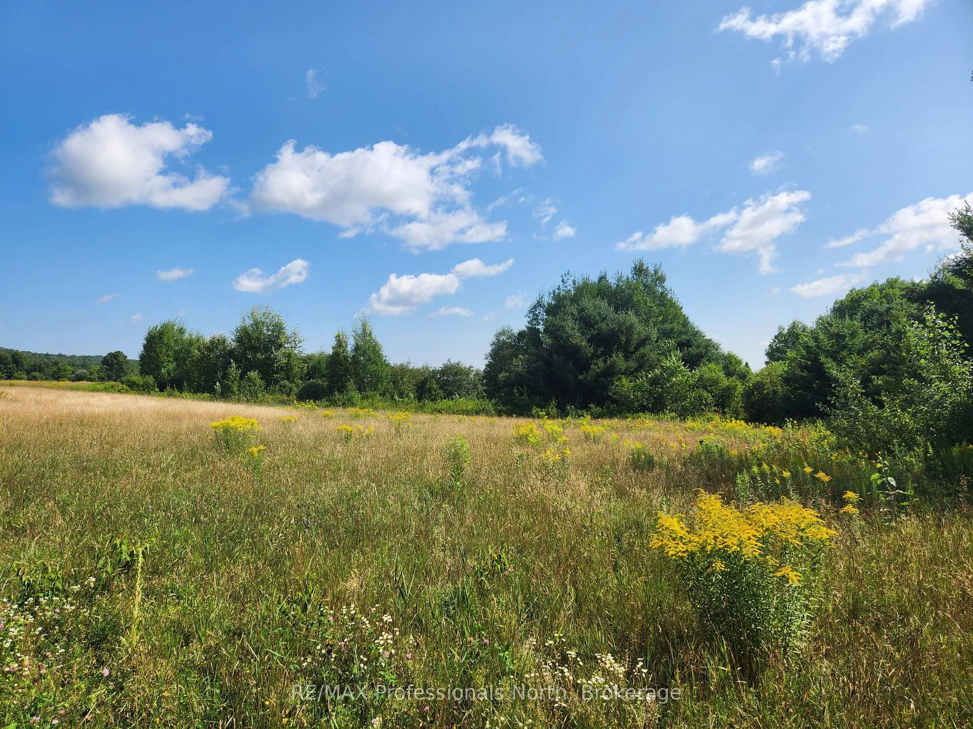 Photo 5 of Deep Bay Road, Minden Hills, Lutterworth — HOMEH