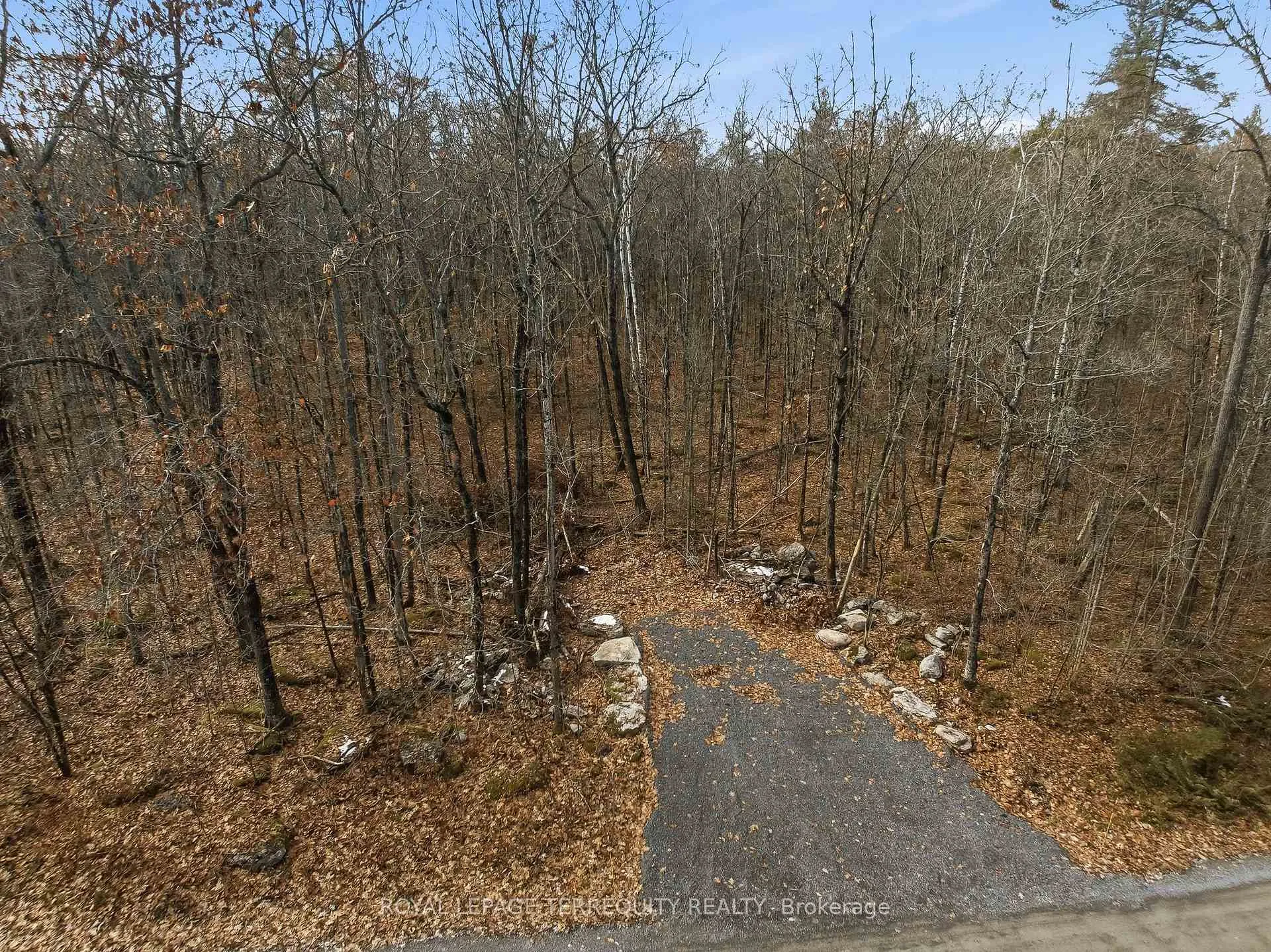 Photo of 64 Maple Road