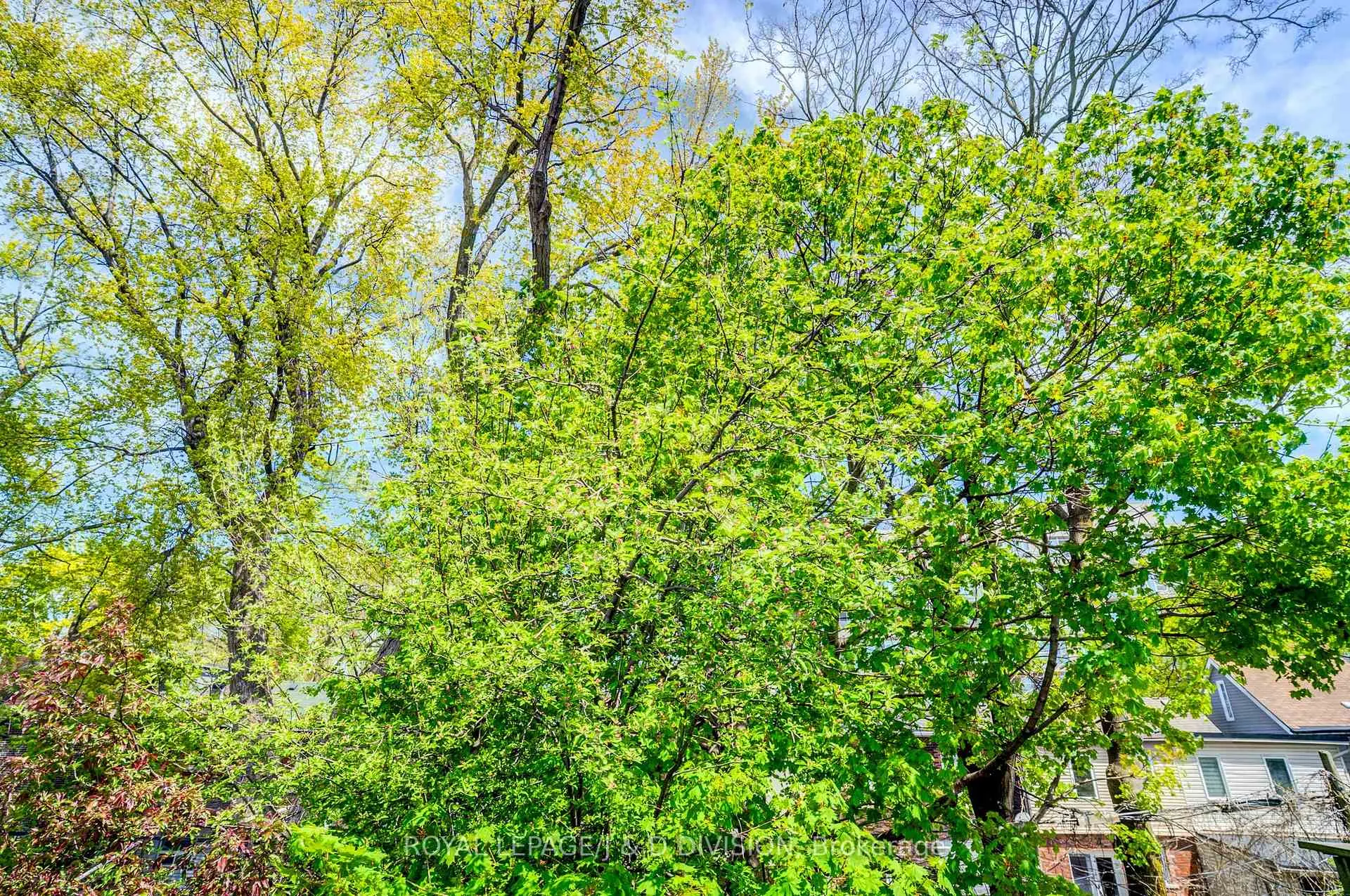 Photo 34 of 23 Empire Avenue, Toronto, South Riverdale — HOMEH