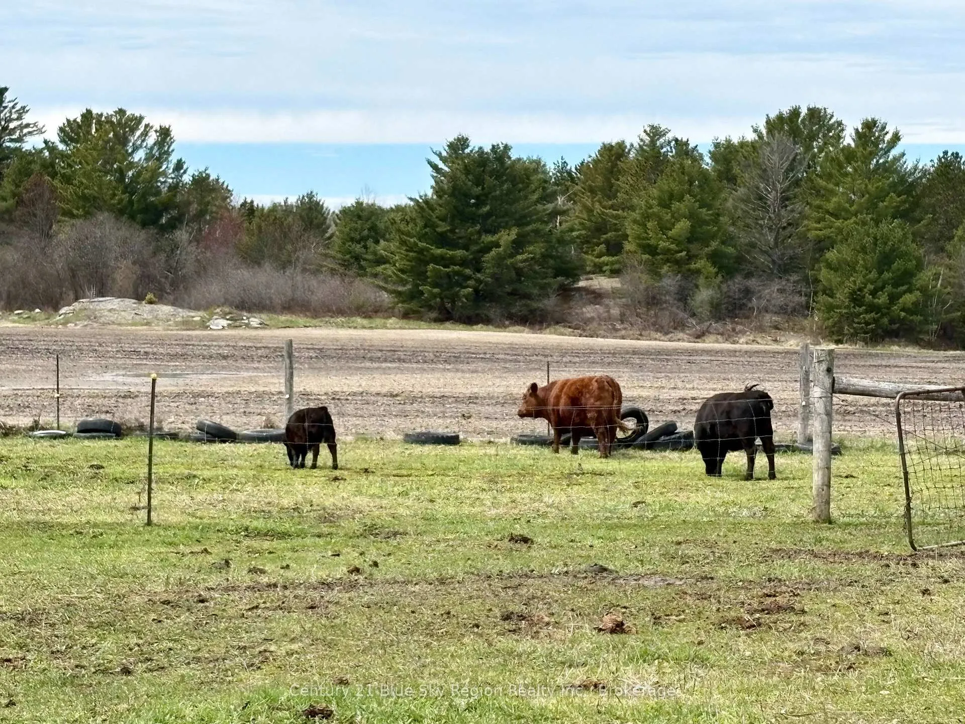 Photo 20 of 700 Piquette Road, West Nipissing, Verner — HOMEH
