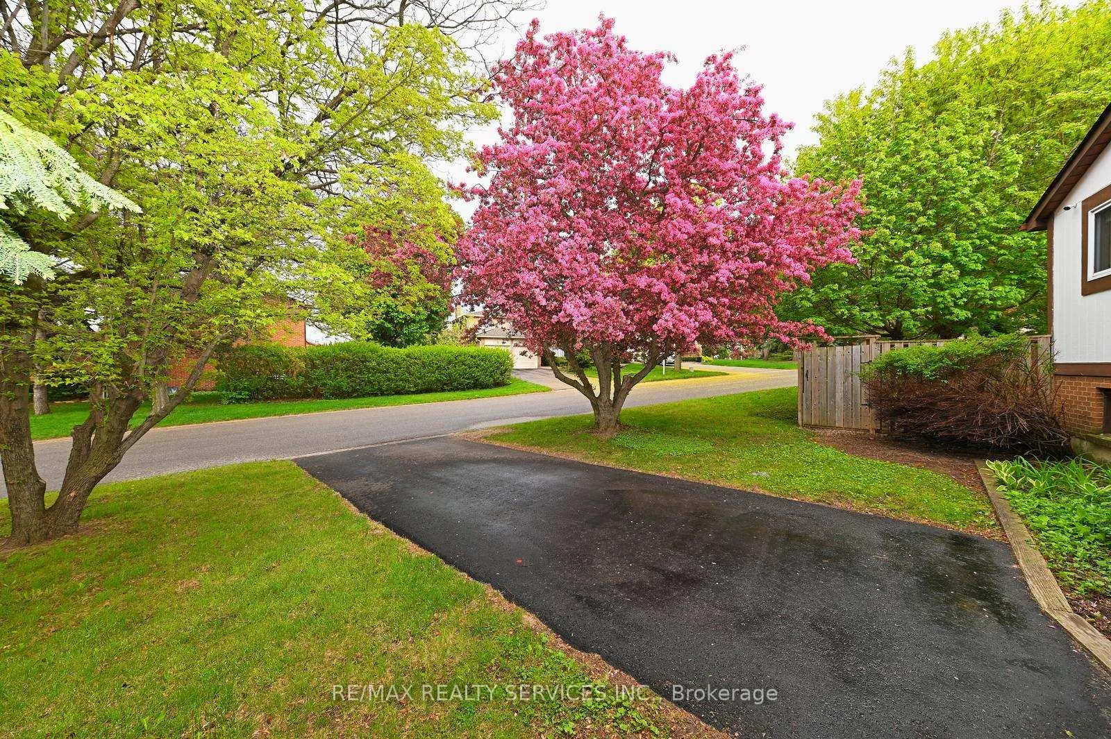 Photo 31 of 65 Massey Street, Brampton, Central Park — HOMEH