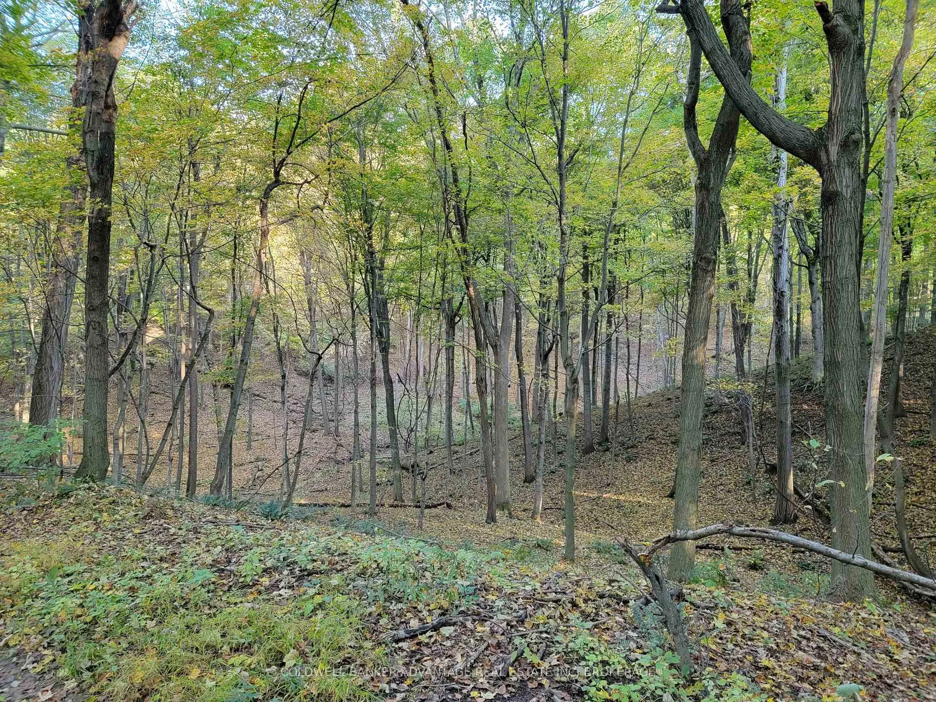 Photo 4 of 154&155 Lot, Thorold, Cataract Road — HOMEH