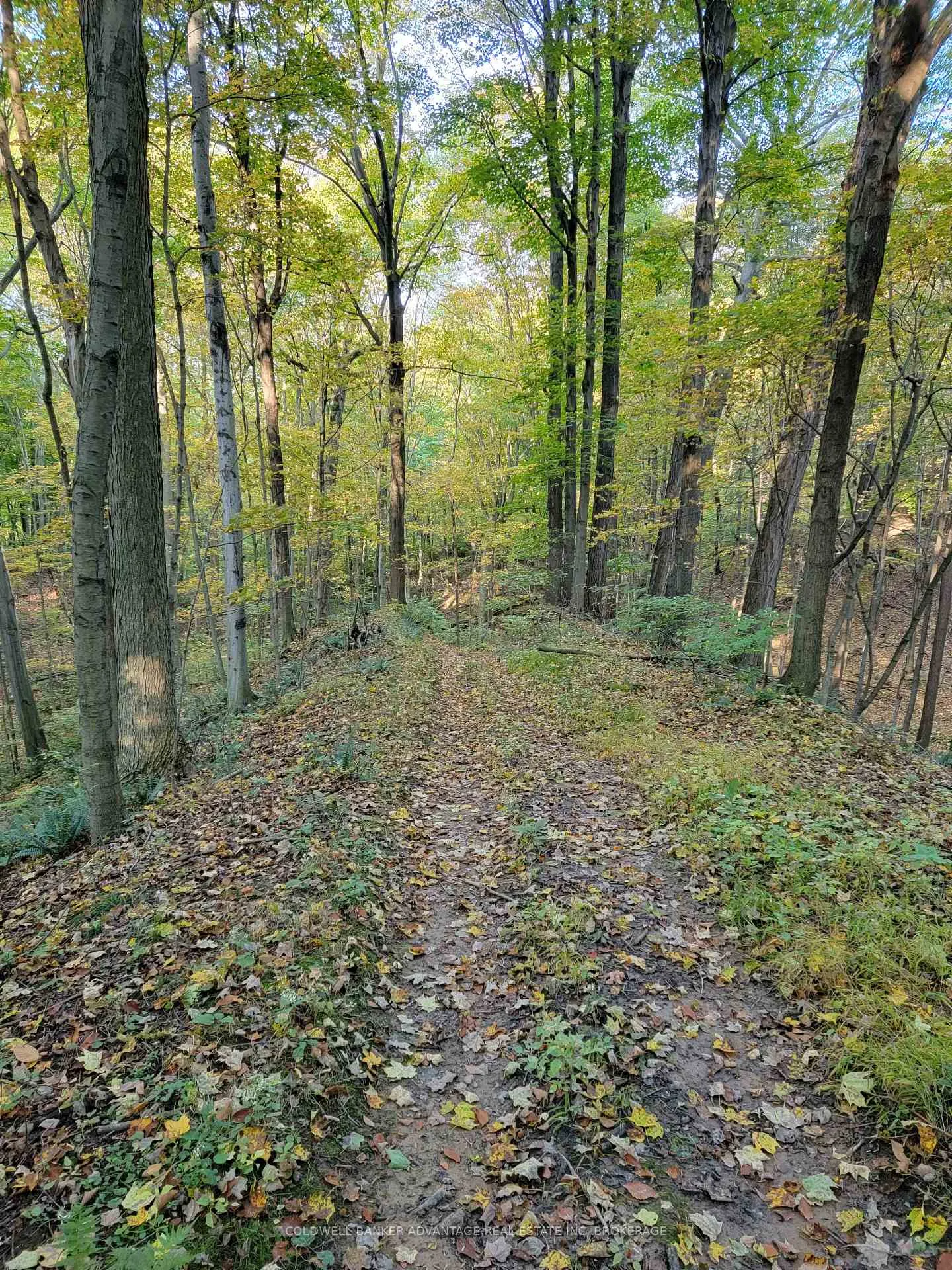 Photo 5 of 154&155 Lot, Thorold, Cataract Road — HOMEH