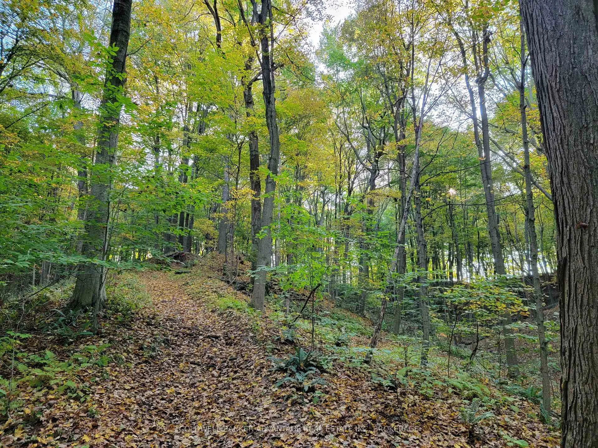 Photo 6 of 154&155 Lot, Thorold, Cataract Road — HOMEH