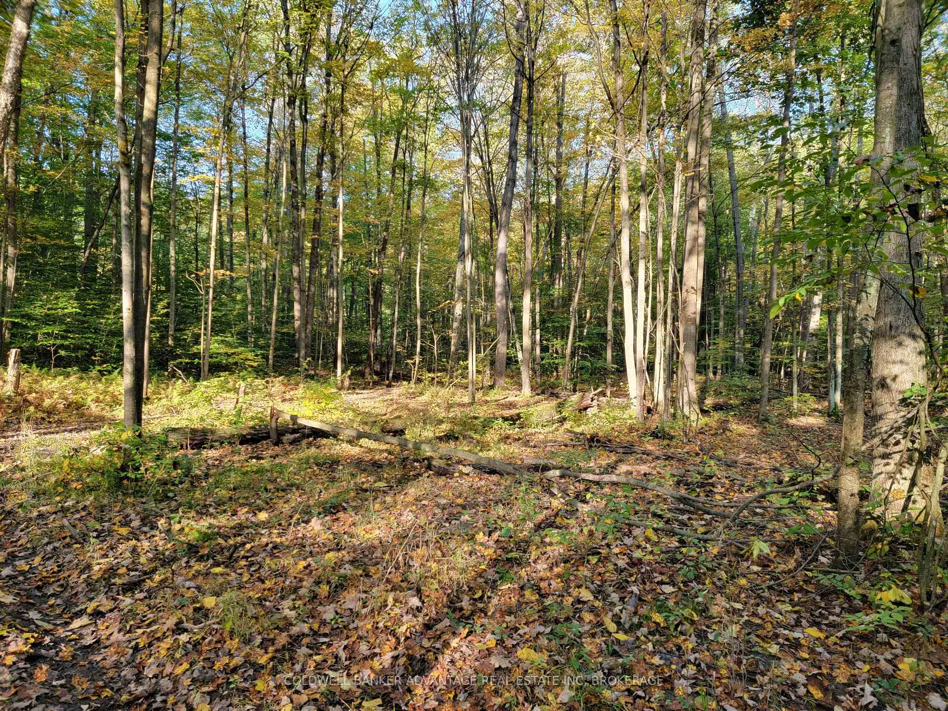 Photo 7 of 154&155 Lot, Thorold, Cataract Road — HOMEH