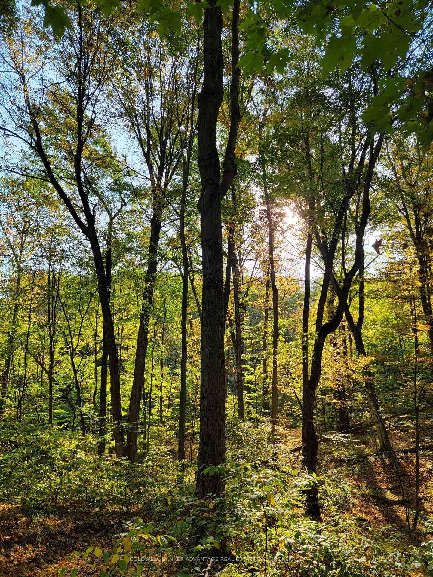 Photo 8 of 154&155 Lot, Thorold, Cataract Road — HOMEH