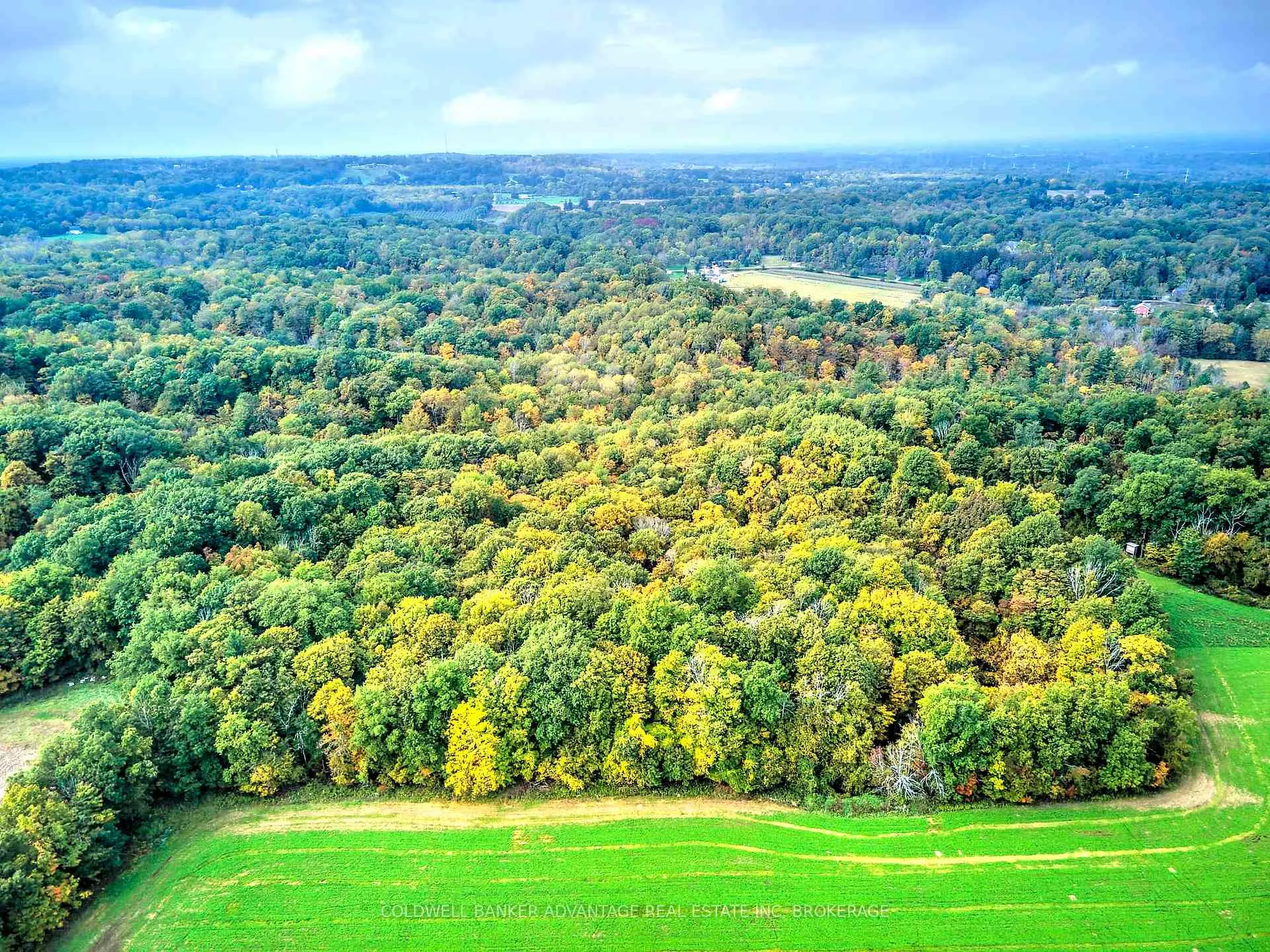 Photo 9 of 154&155 Lot, Thorold, Cataract Road — HOMEH