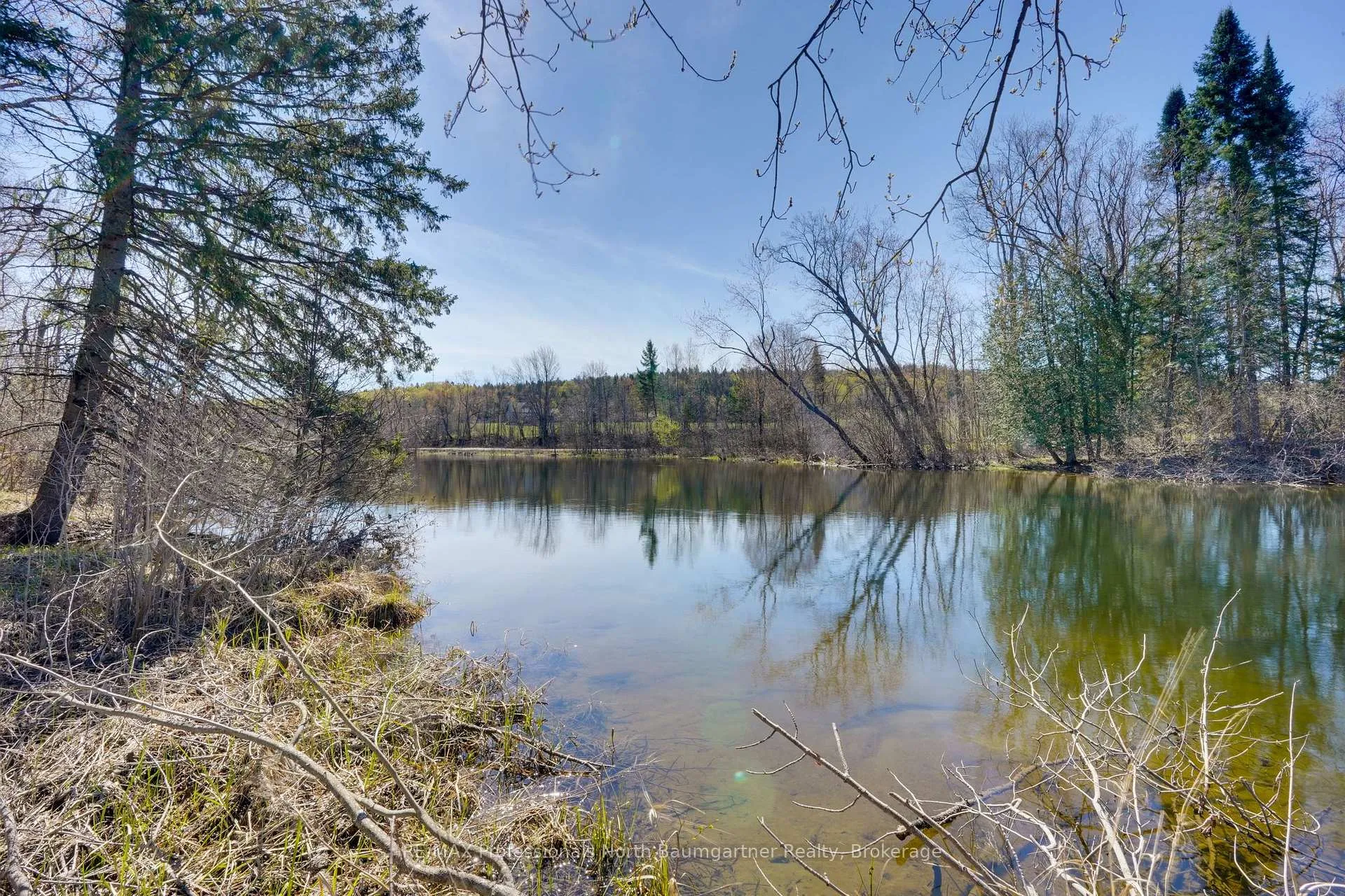 Photo 41 of 4112 Deep Bay Road, Minden Hills, Lutterworth — HOMEH