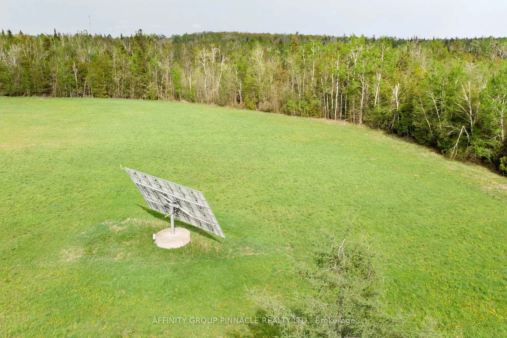 Photo 9 of 19 Patterson Road, Kawartha Lakes, Verulam — HOMEH