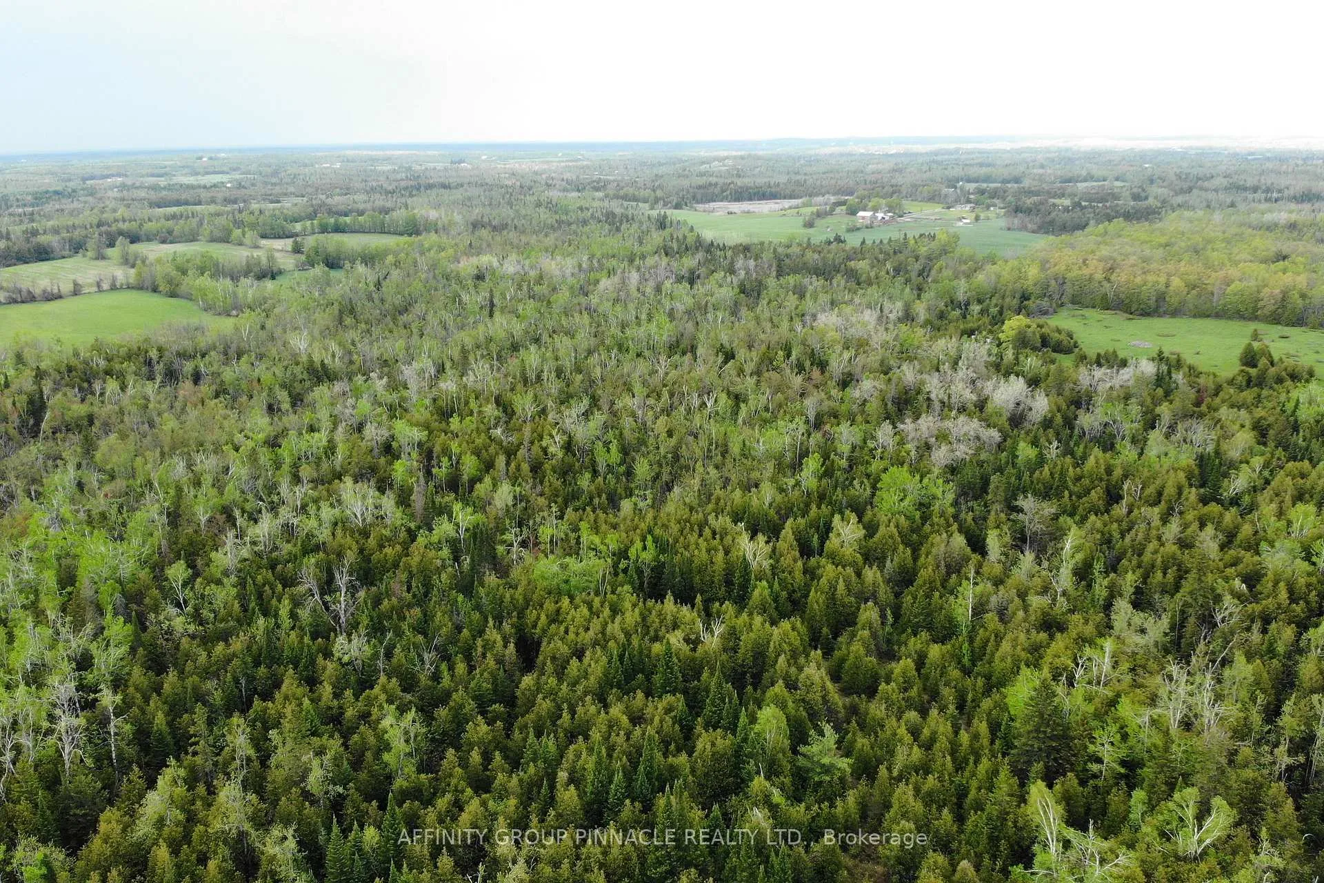 Photo 10 of 19 Patterson Road, Kawartha Lakes, Verulam — HOMEH