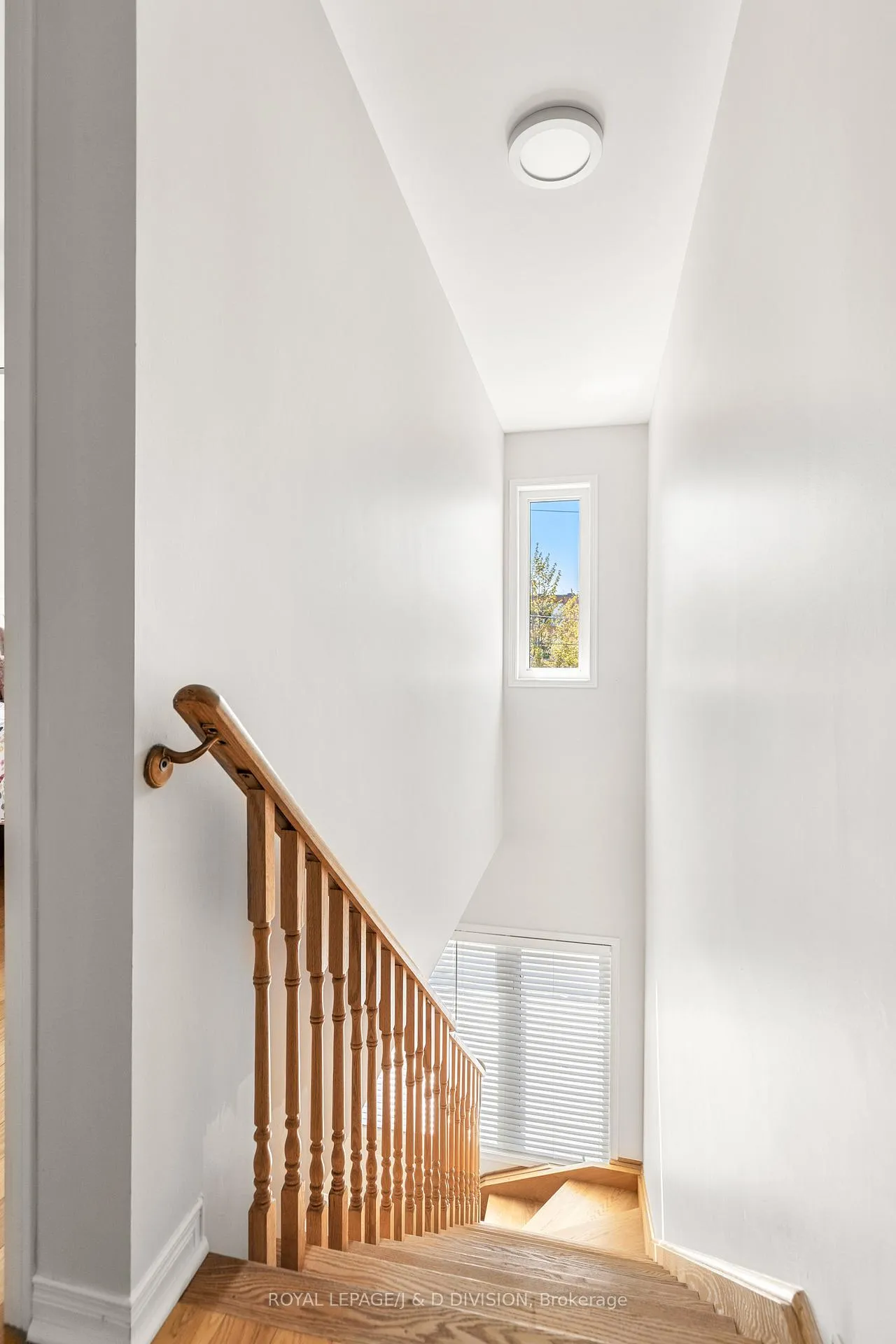 Photo 23 of 446 Sammon Avenue, Toronto, Danforth Village-East York — HOMEH