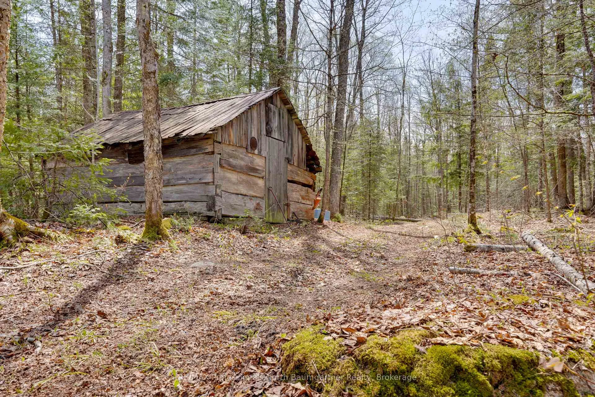 Photo 4 of Lochlin Road, Minden Hills, Minden — HOMEH