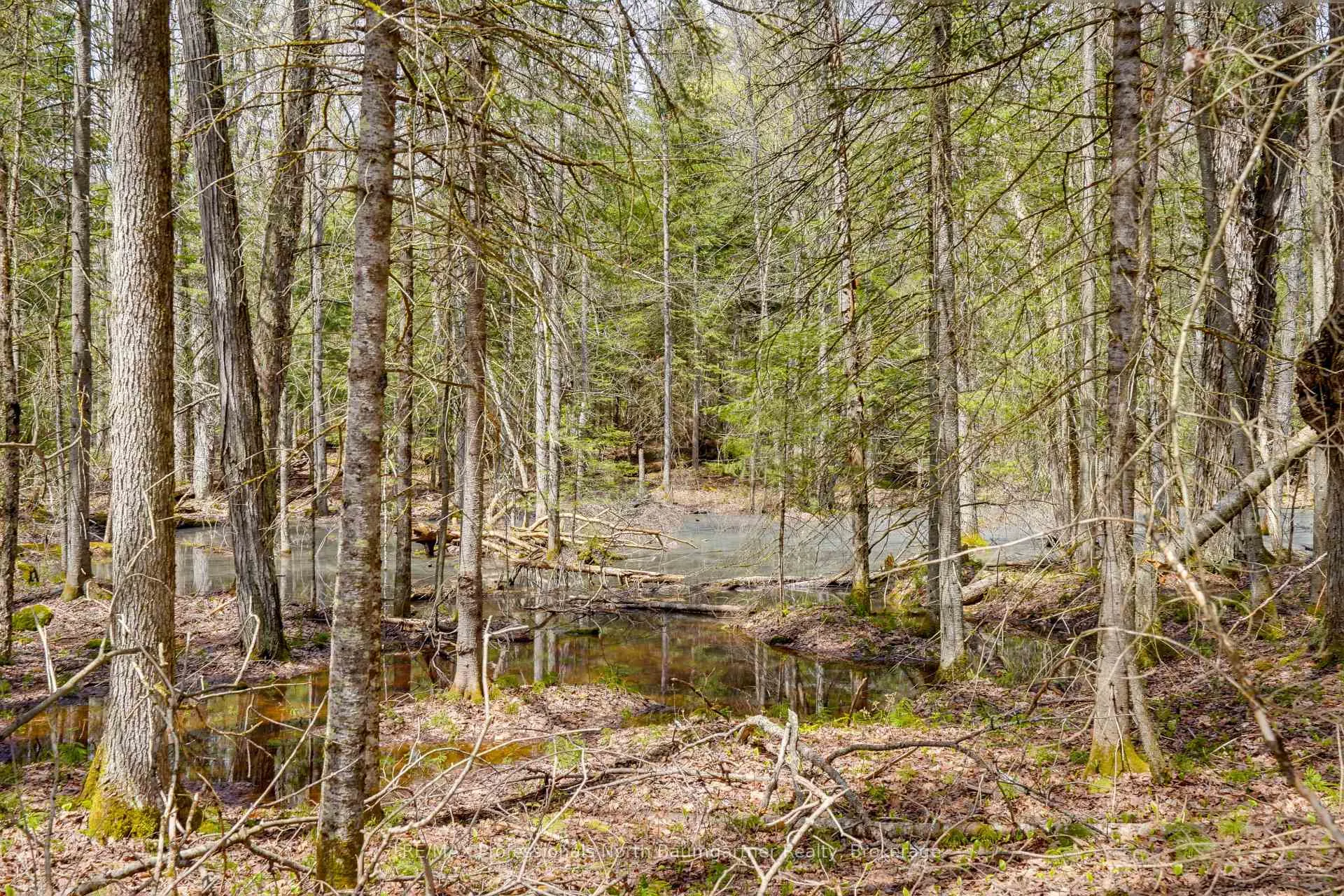 Photo 5 of Lochlin Road, Minden Hills, Minden — HOMEH