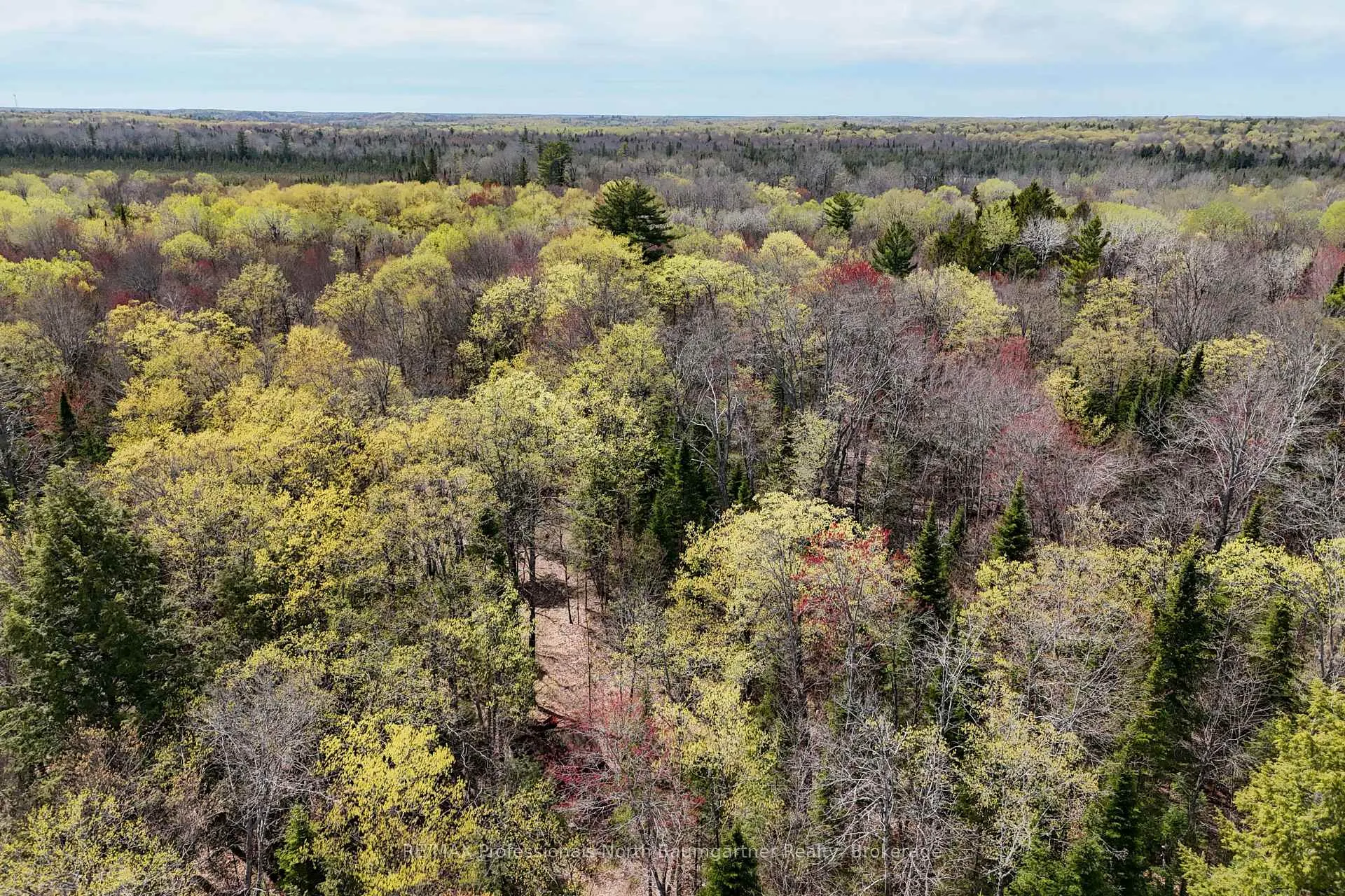 Photo 6 of Lochlin Road, Minden Hills, Minden — HOMEH
