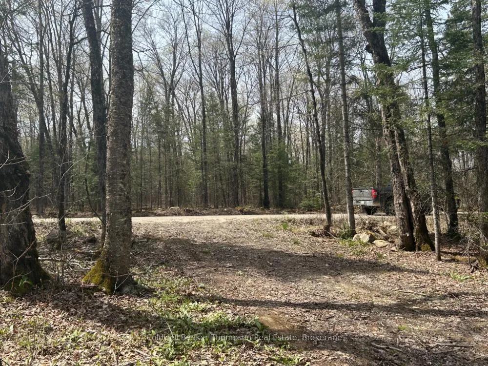 Photo 1 of Ely Side Road, Armour — HOMEH
