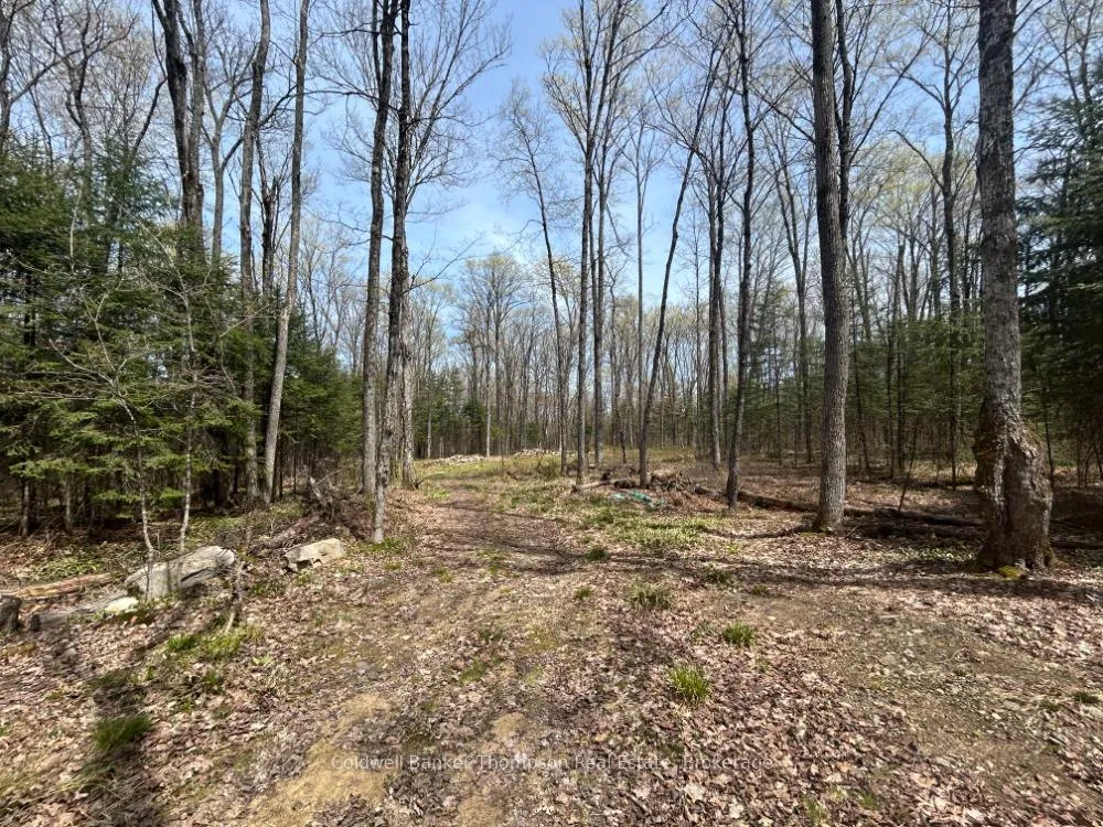 Photo 2 of Ely Side Road, Armour — HOMEH