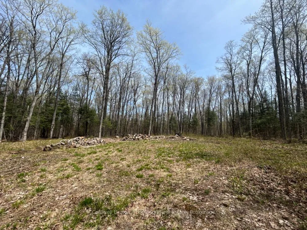 Photo 4 of Ely Side Road, Armour — HOMEH