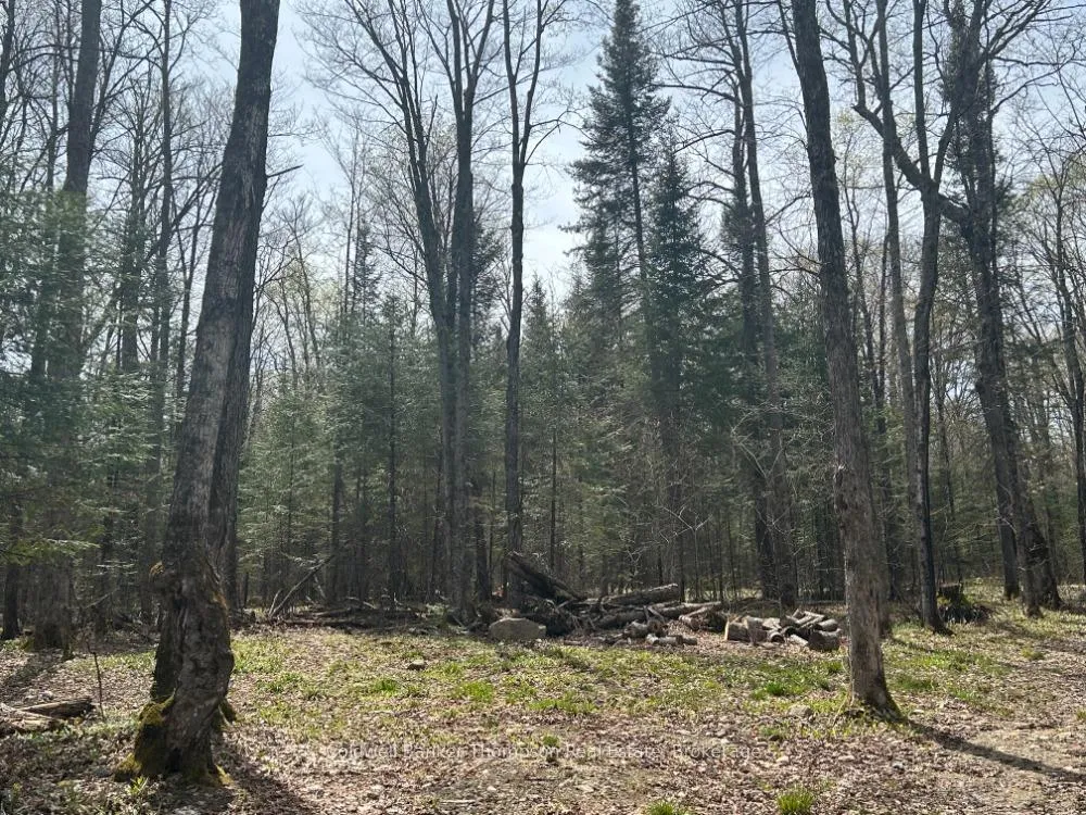 Photo 5 of Ely Side Road, Armour — HOMEH