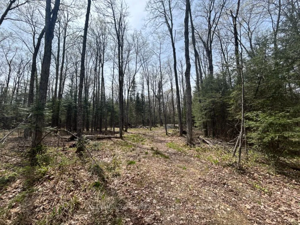 Photo 6 of Ely Side Road, Armour — HOMEH