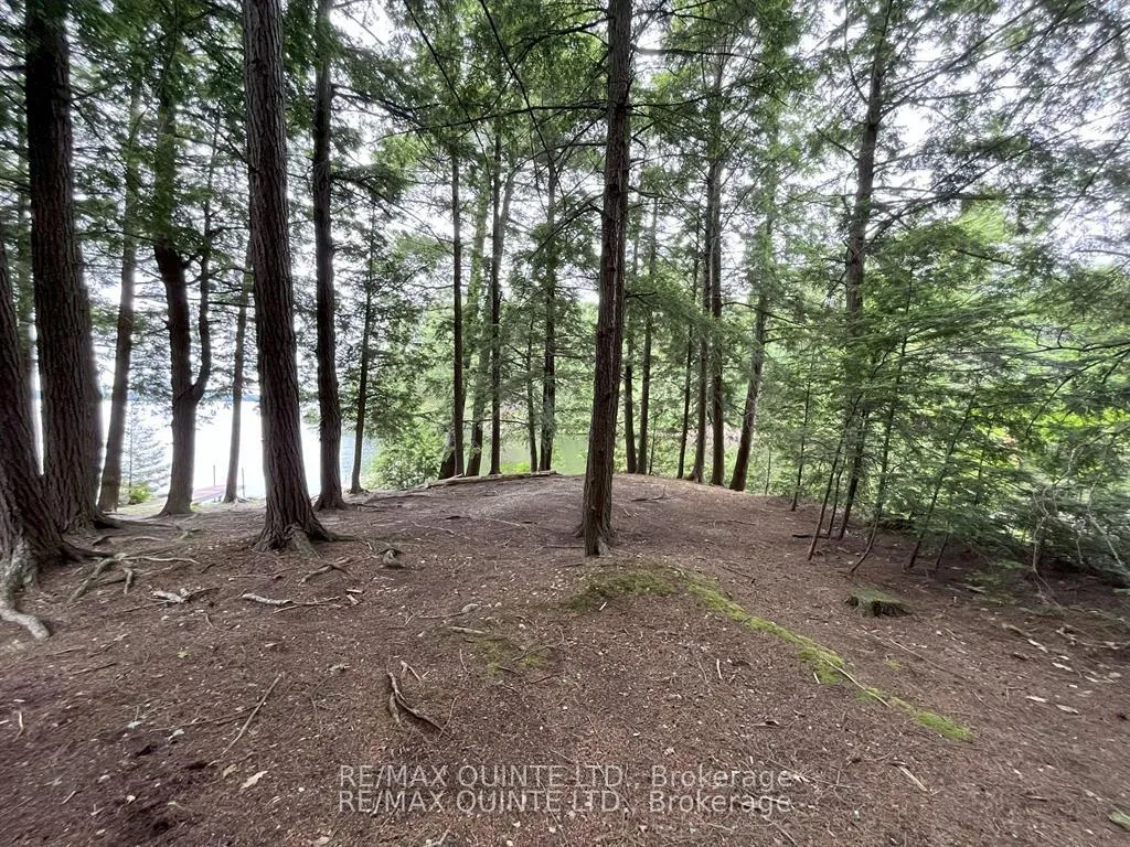 Photo 34 of 1549 Gull Lake Lane, Frontenac, Frontenac North — HOMEH