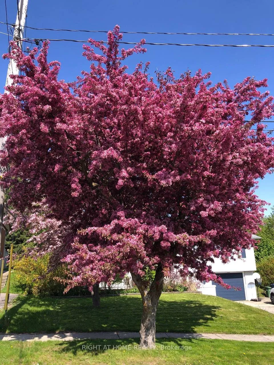 Photo 23 of 92 Western Avenue, Guelph, Junction/Onward Willow — HOMEH